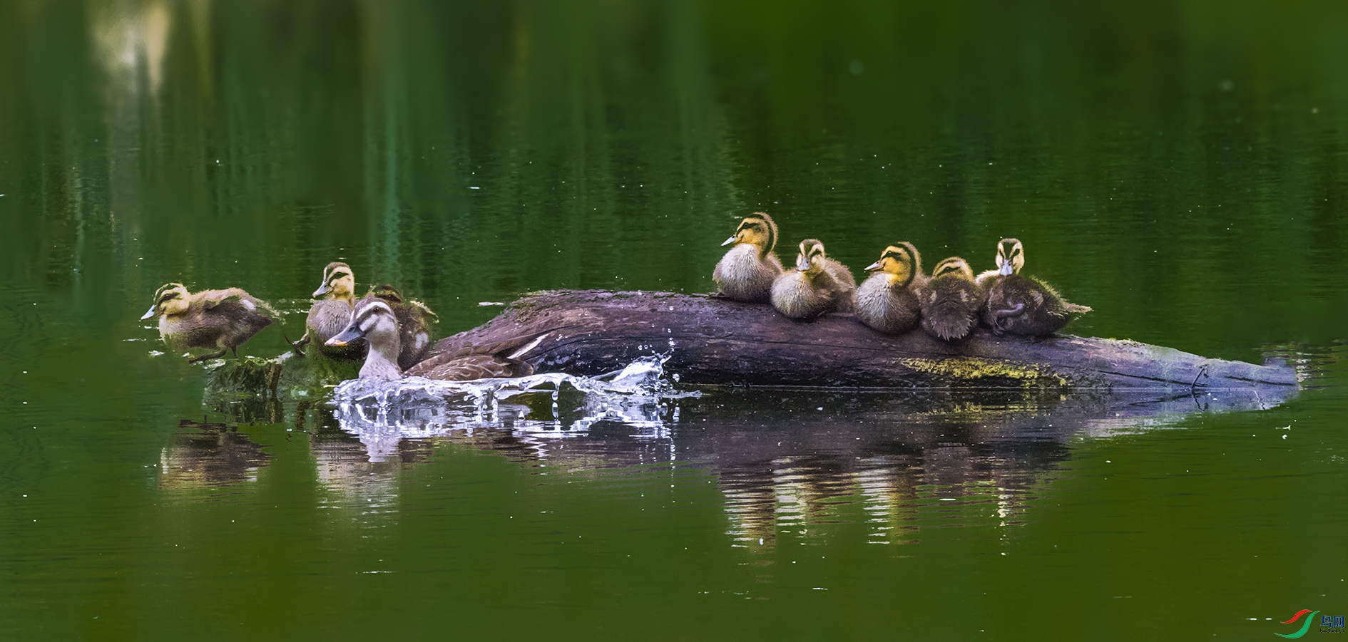 DSC_0400-1_��ͼ��.jpg