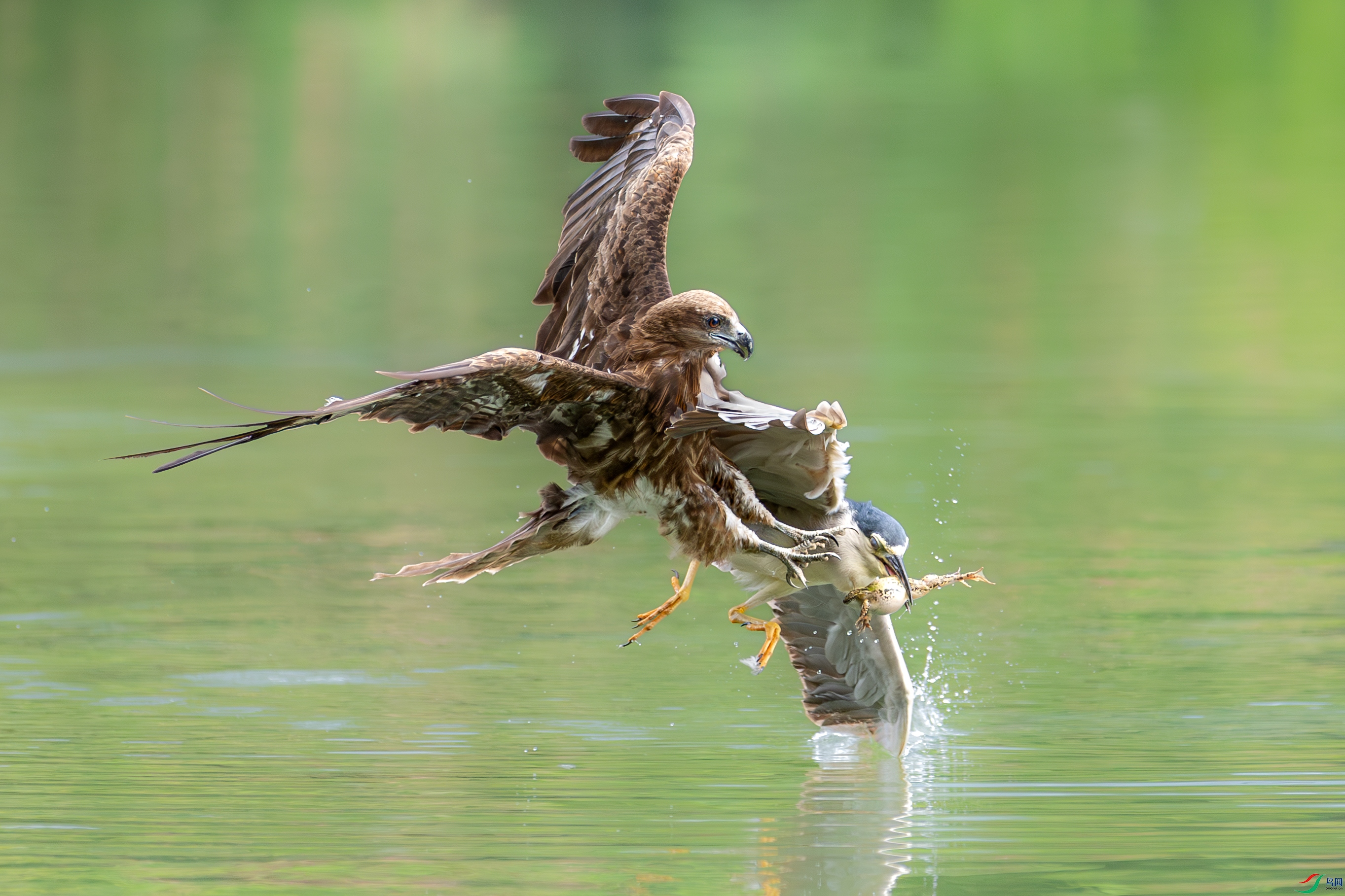 063A2134 ����.jpg