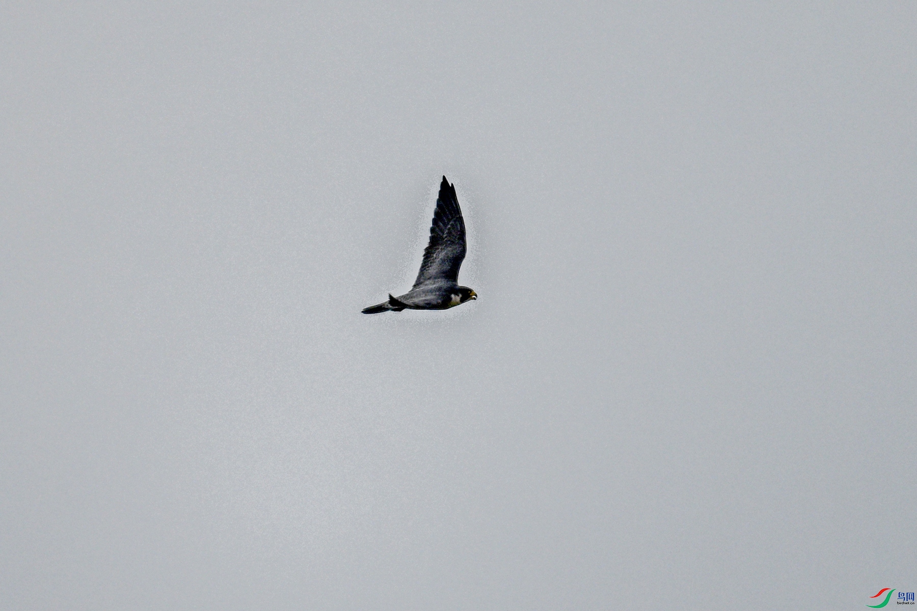 DSC_7789.JPG