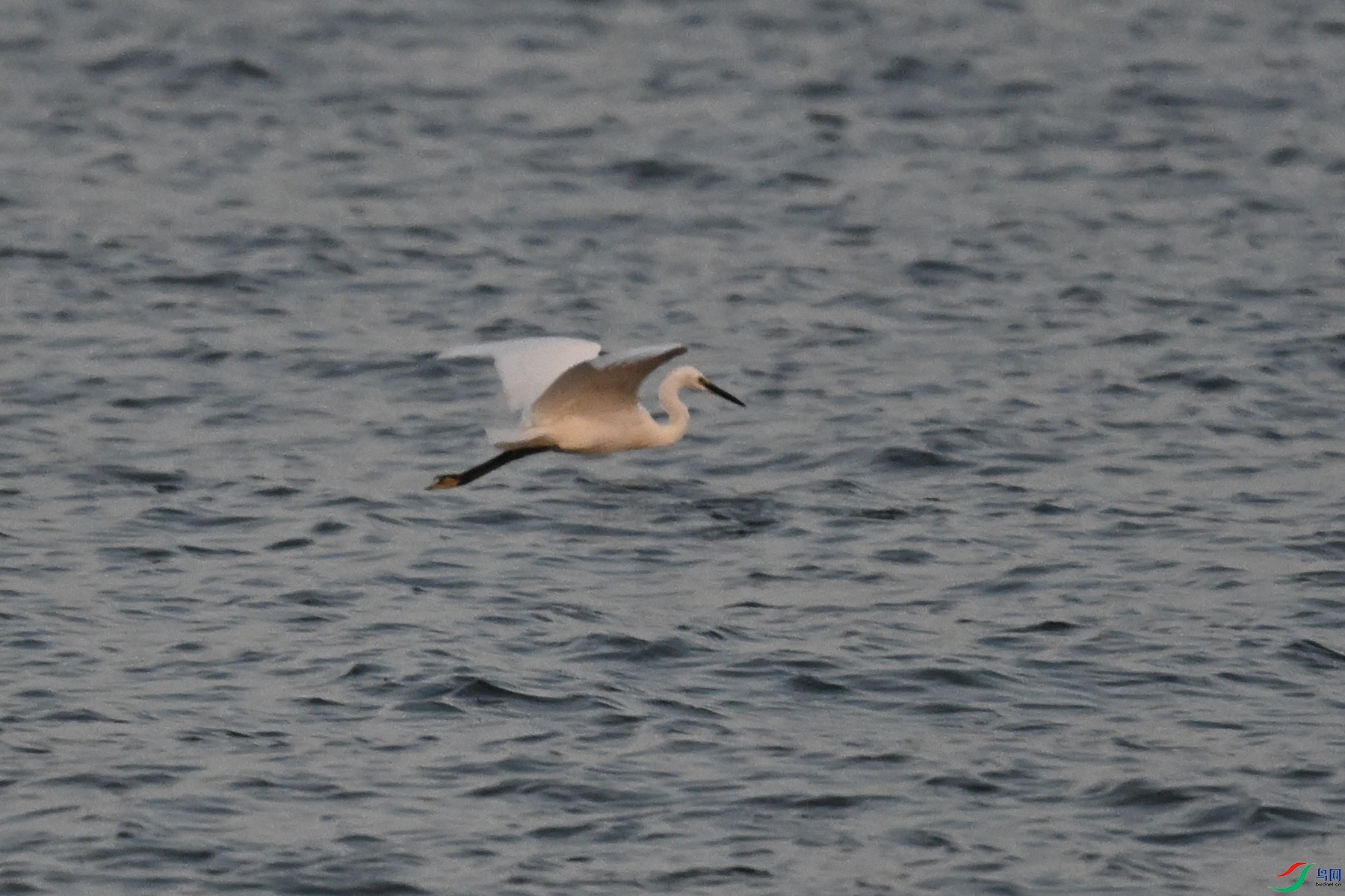 DSC_7759.JPG