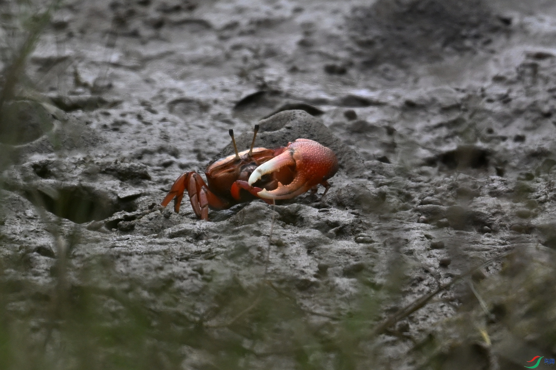 DSC_7768.JPG