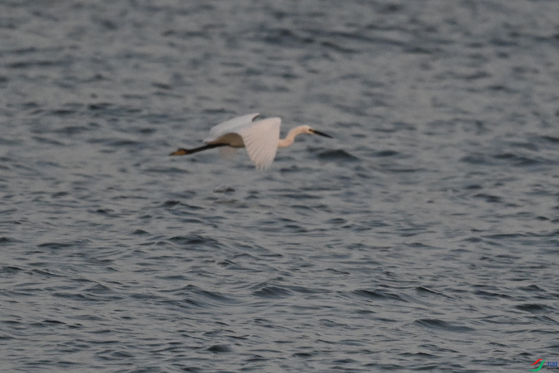 DSC_7763.JPG