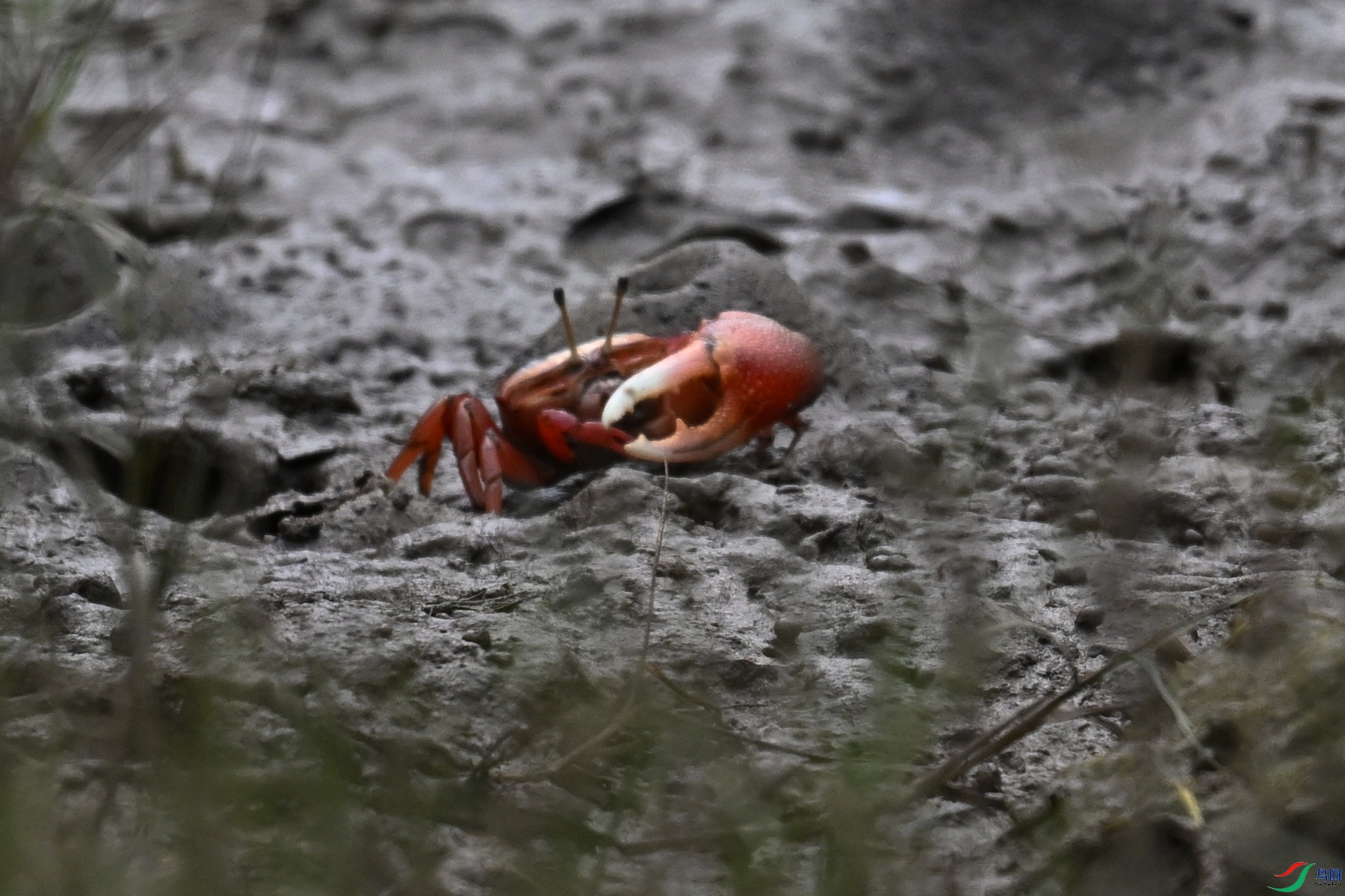 DSC_7769.JPG