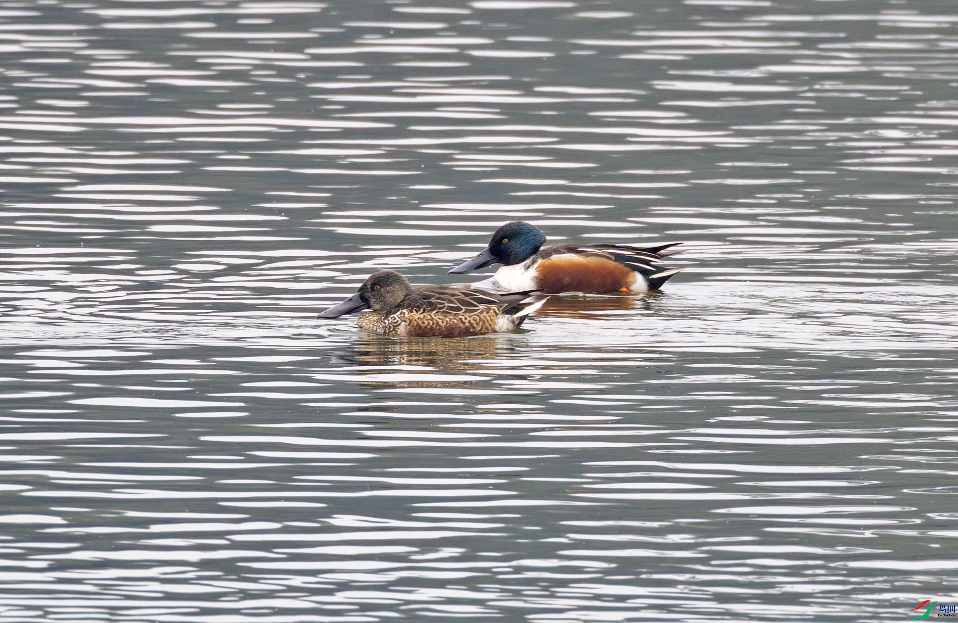 G47A6768-����ǿ-NR ����.jpg