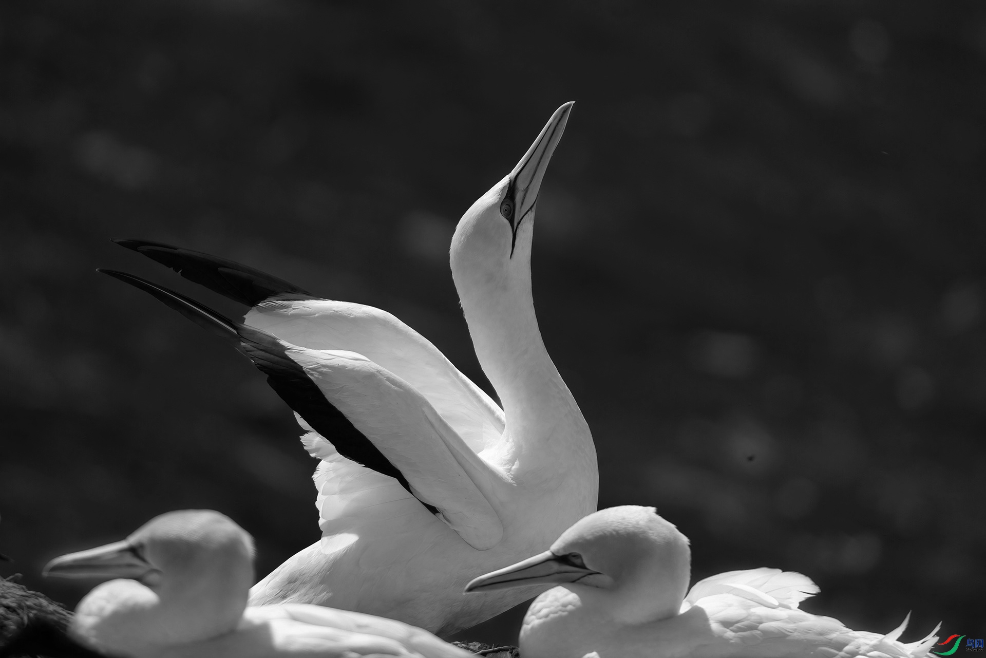 1P8A3387.jpg