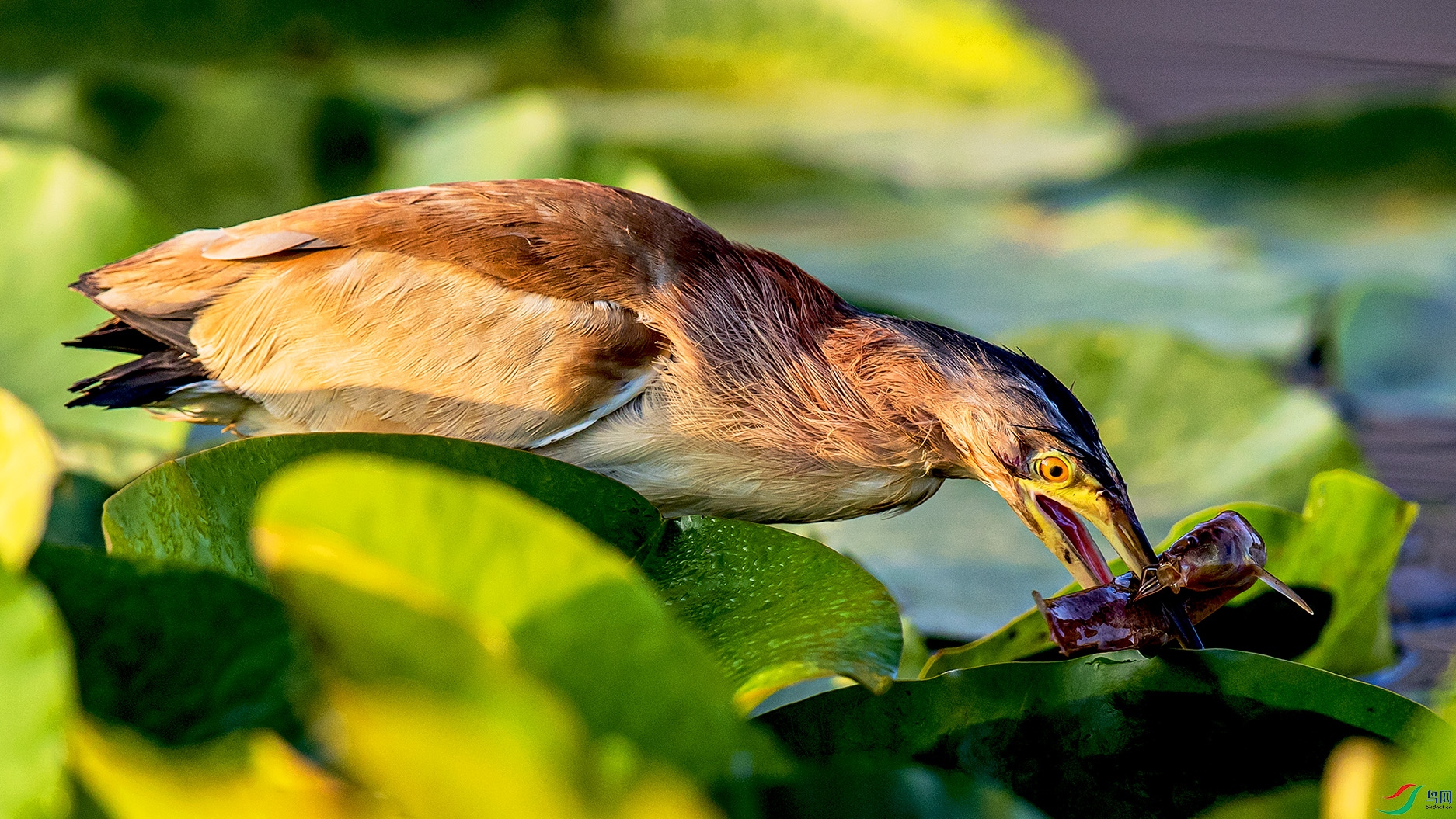 _90I0422 ����.jpg