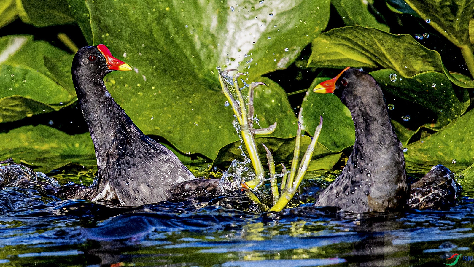 _90I4080 ���� 2.jpg