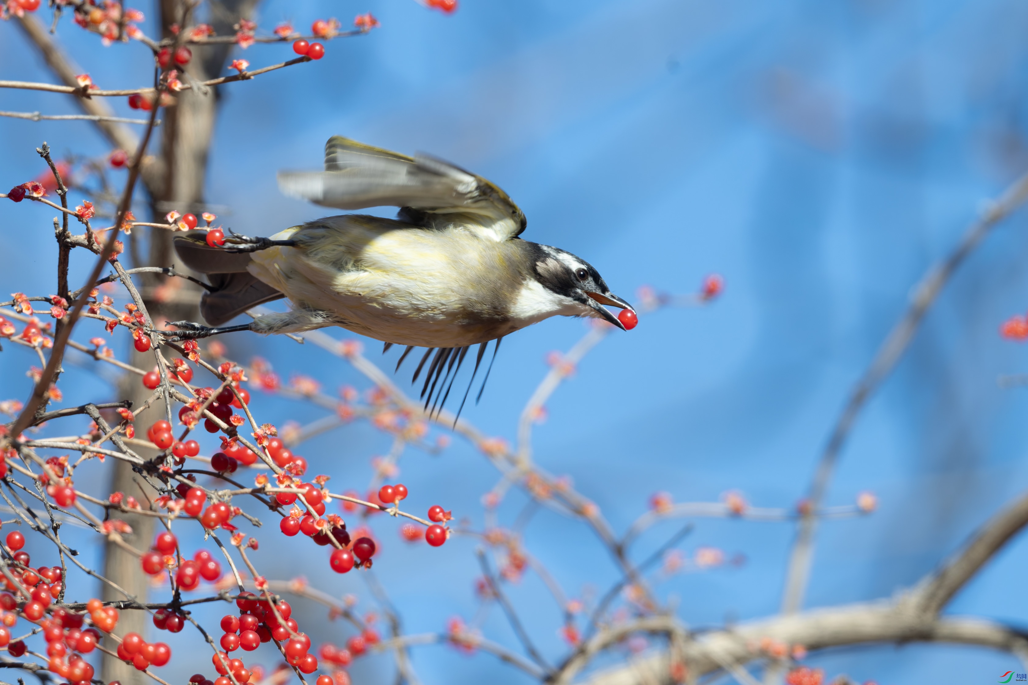 DSC_2826.jpg