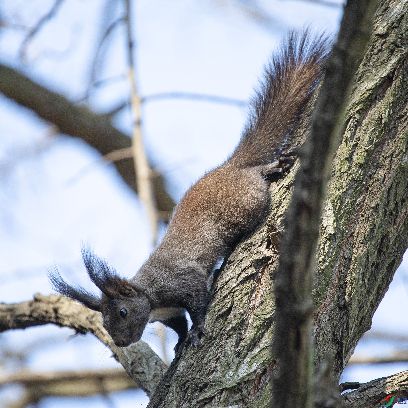 _MG_7868 ����.jpg