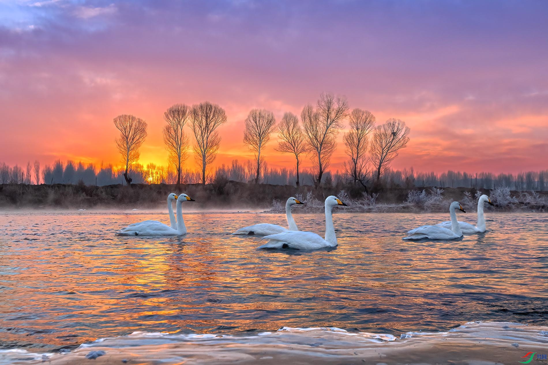 ϼ�������졤��ĳ��ػ�Ӱ 