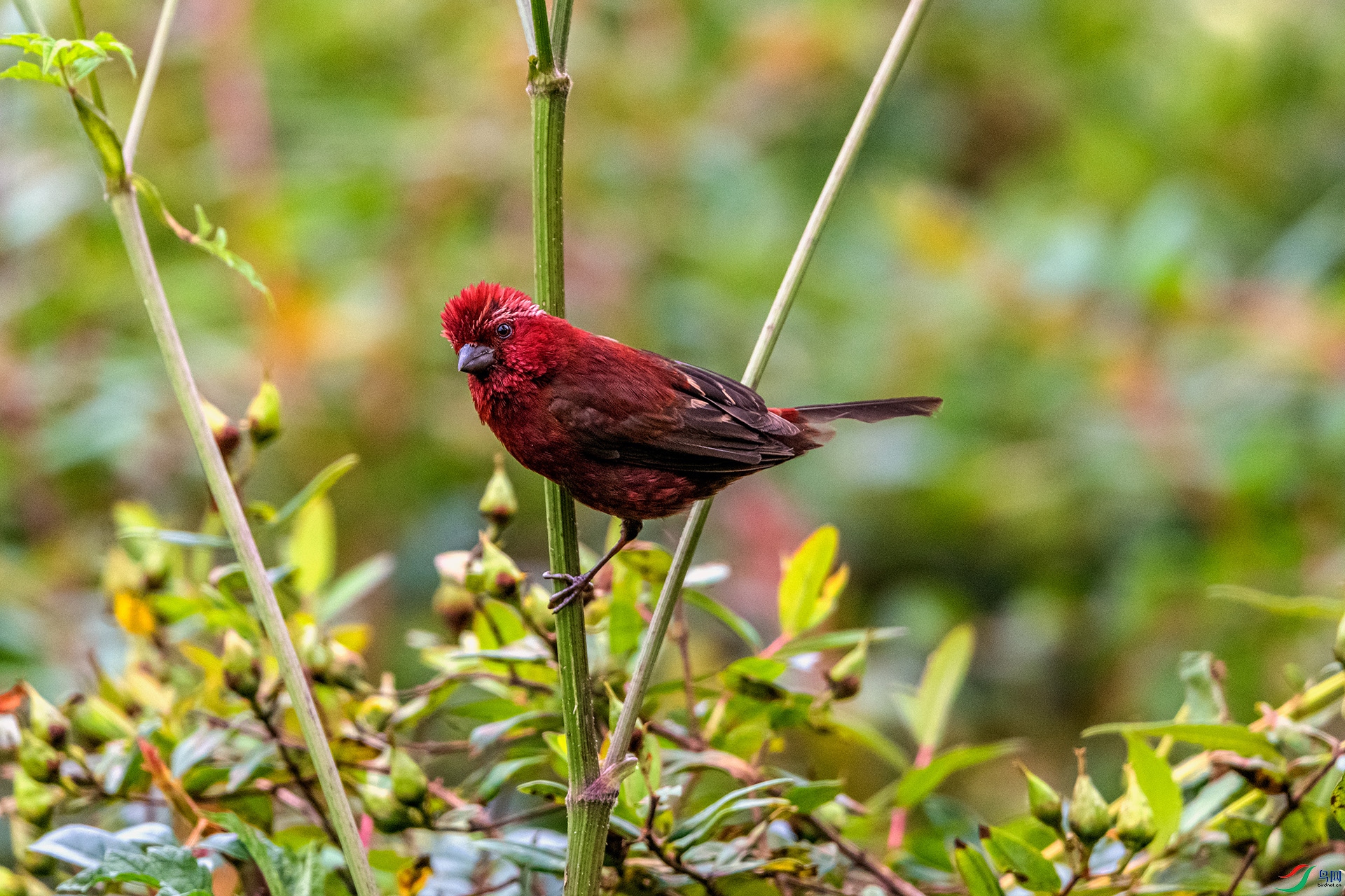 _AUU8931 �ƺ���ȸ(25.8.26).jpg