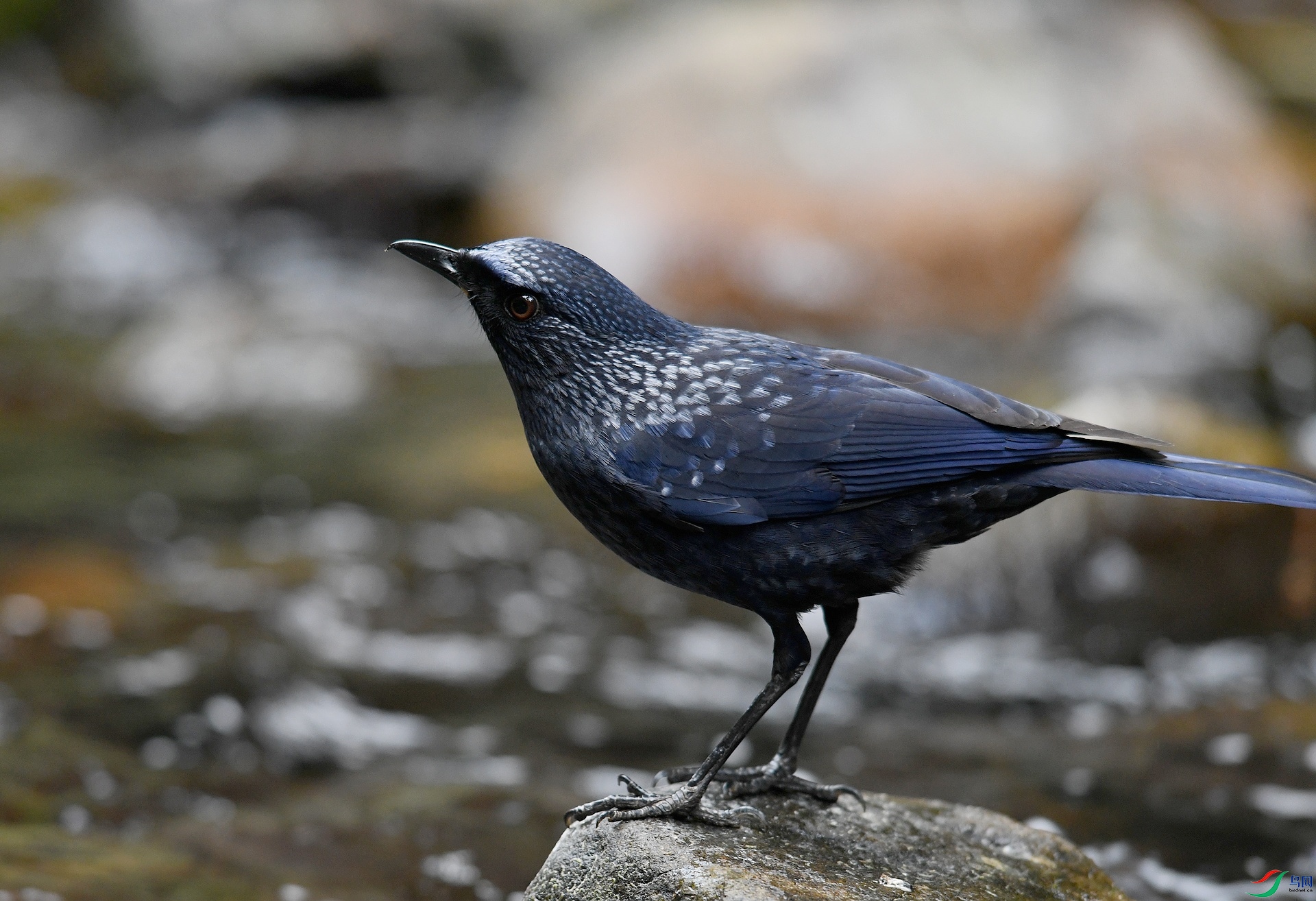 DSC_6670.jpg