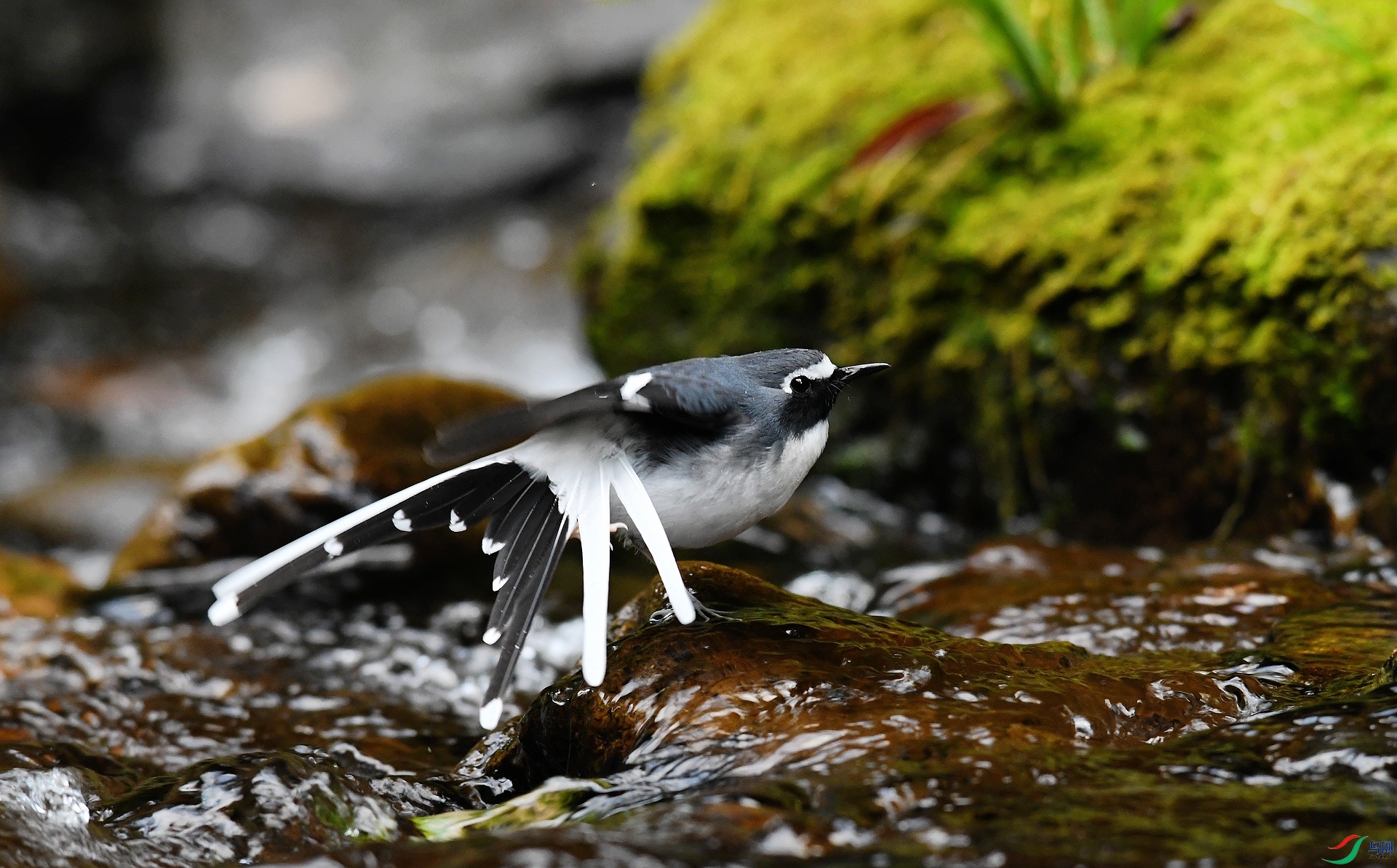 DSC_6428.jpg