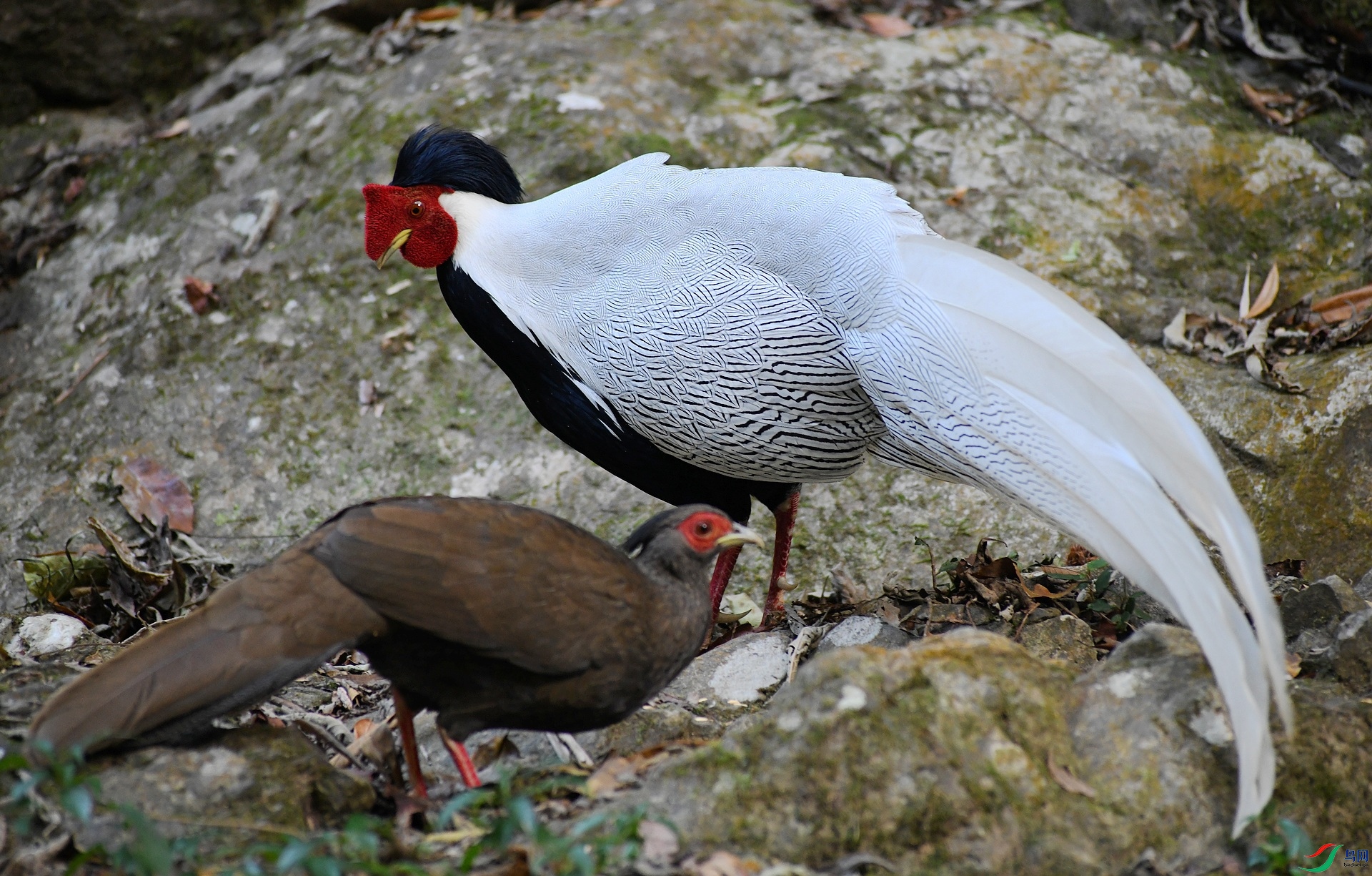 DSC_8392.jpg
