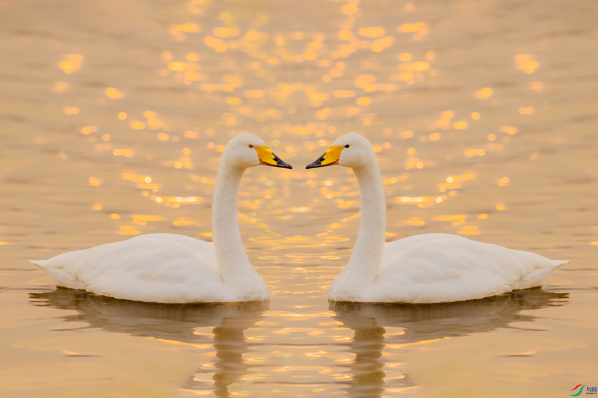 _DSC3442 ����.jpg