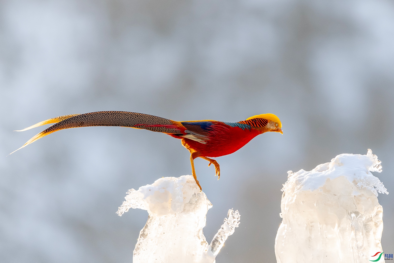 IMG_0881 ����.jpg