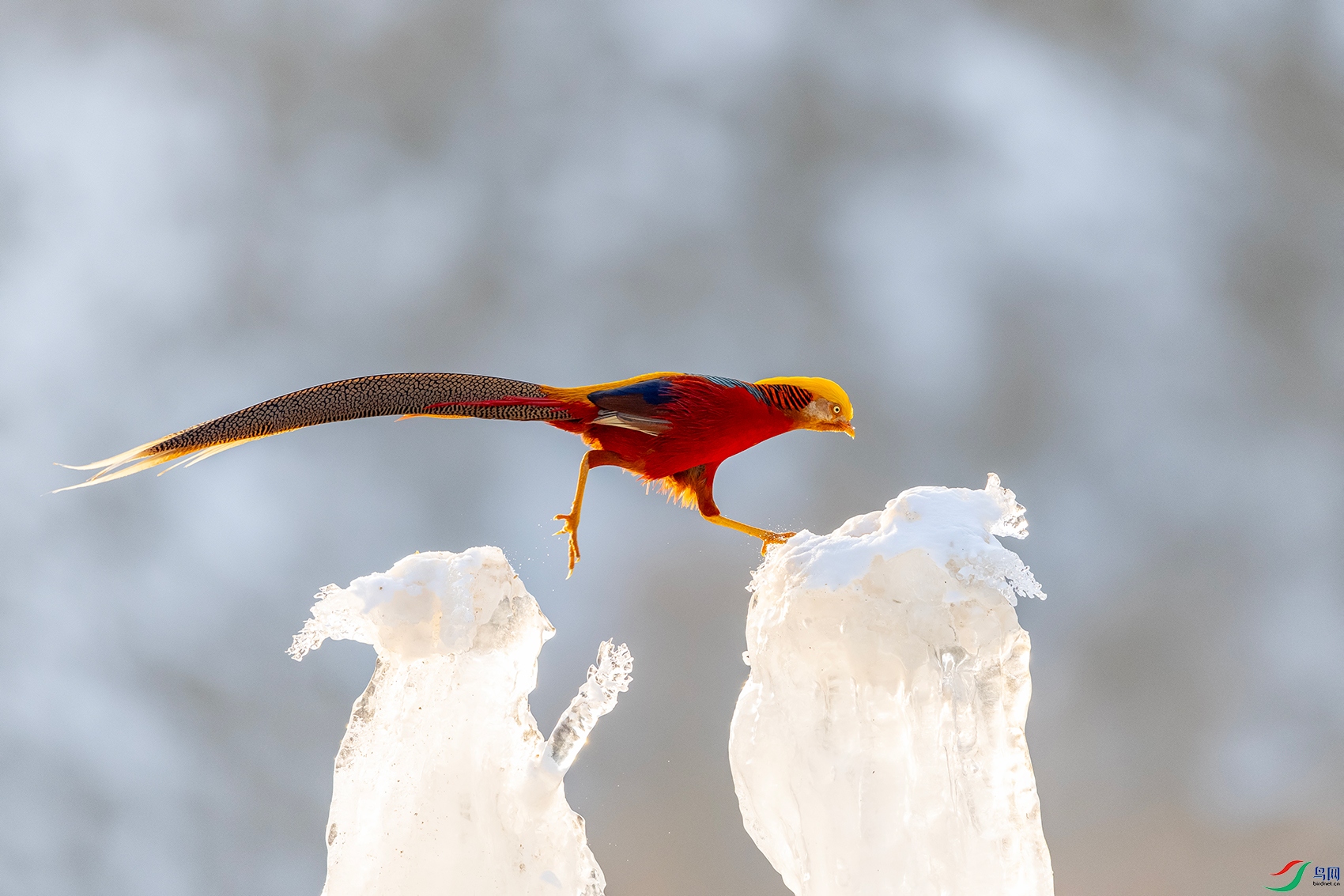 IMG_0885 ����.jpg