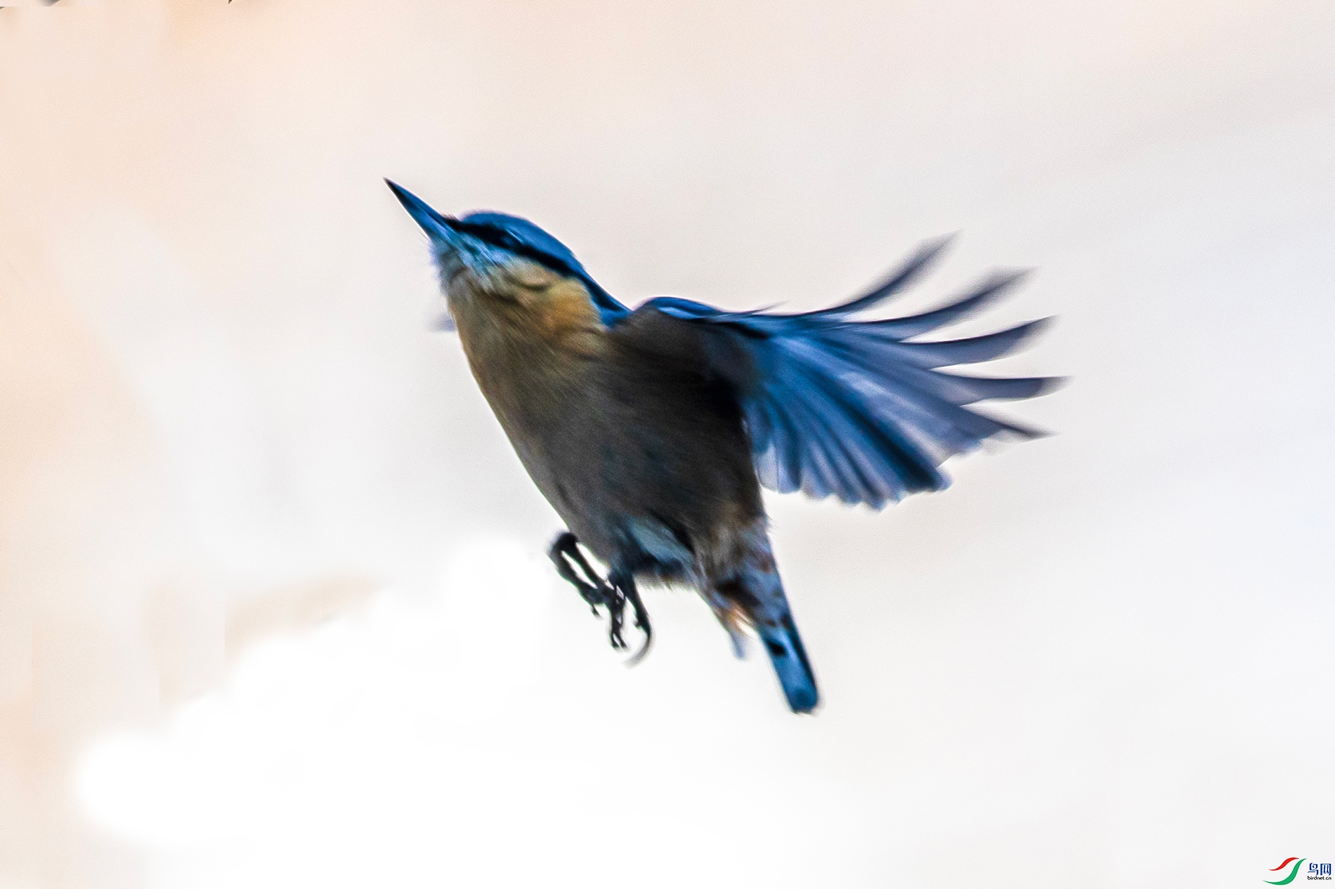 IMG_9988 ����.jpg