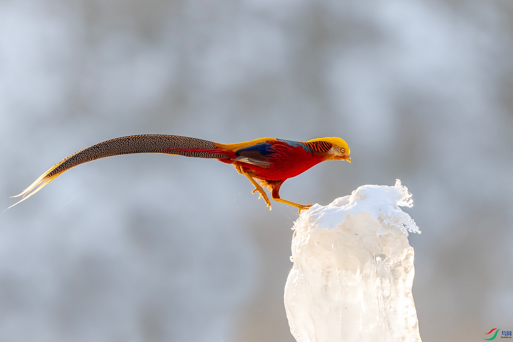 IMG_0886 ����.jpg