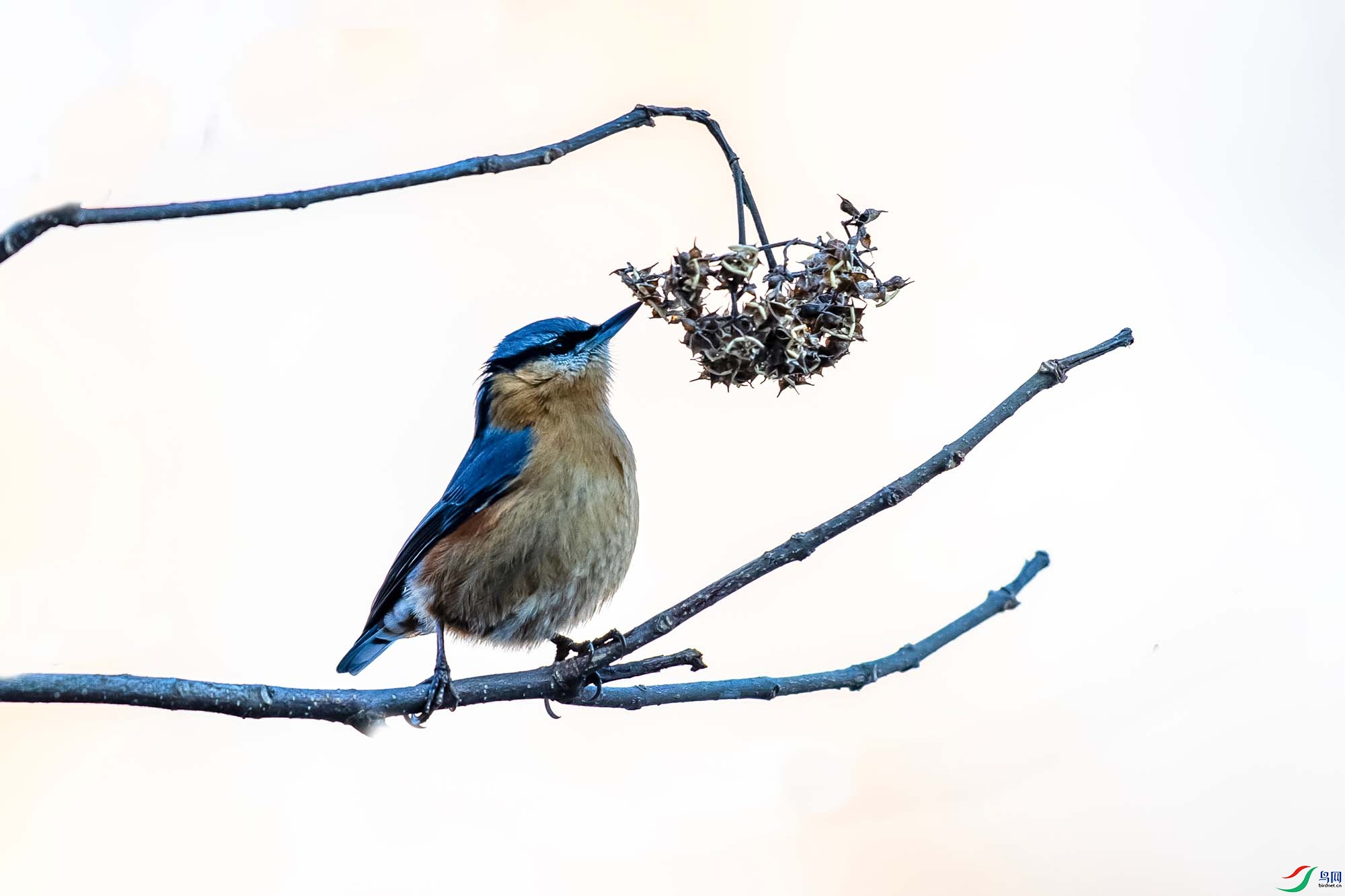 IMG_9889 ����.jpg