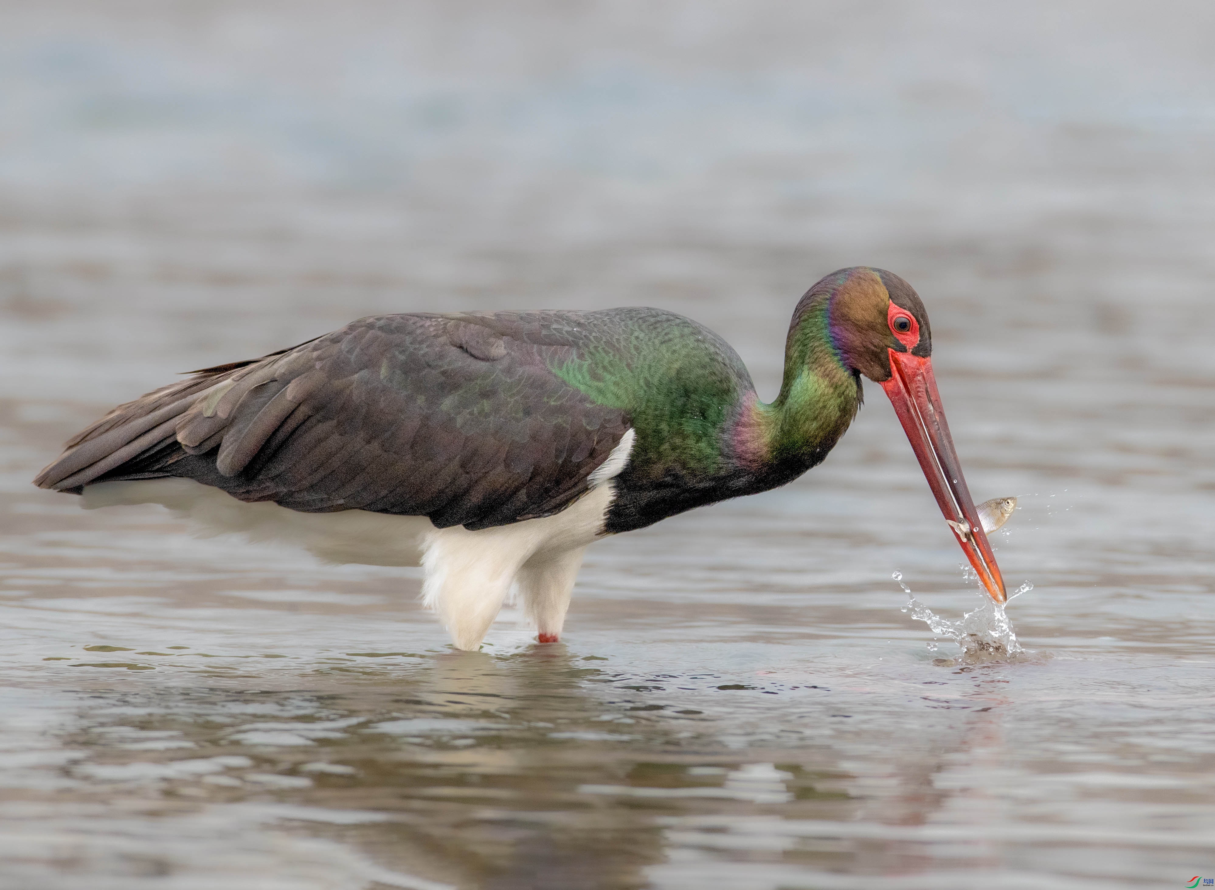 A79I4912 ����.jpg