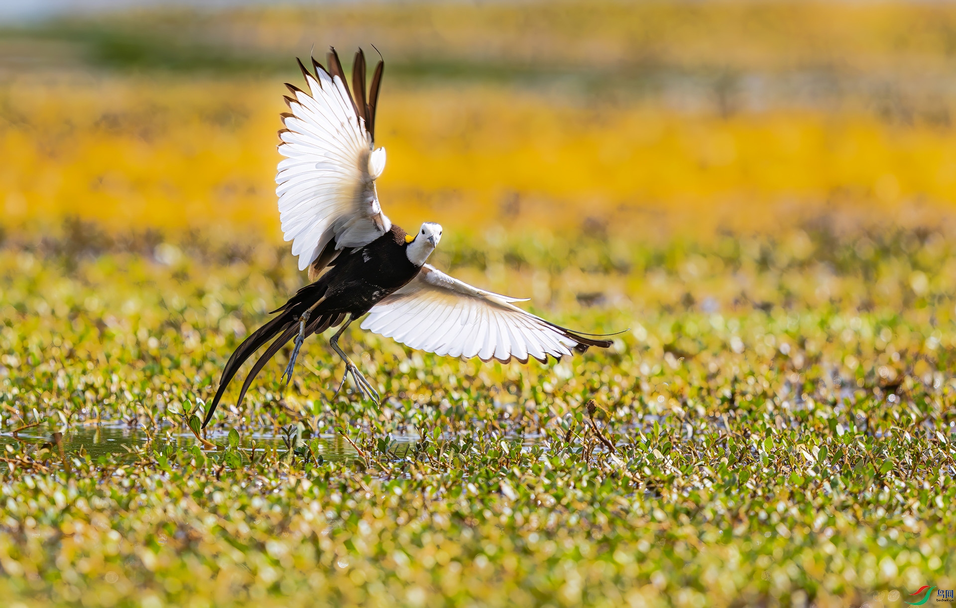 L25_8553 ����.jpg