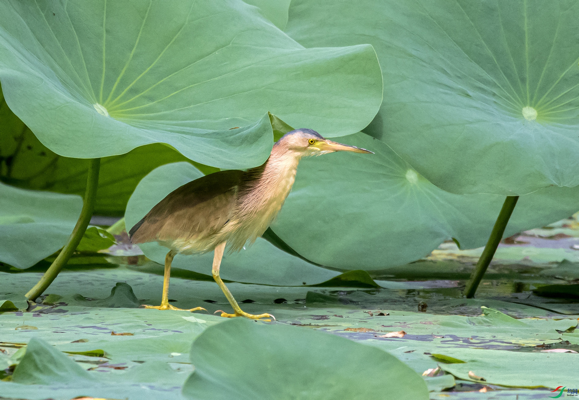 _DSC9845 ����.jpg