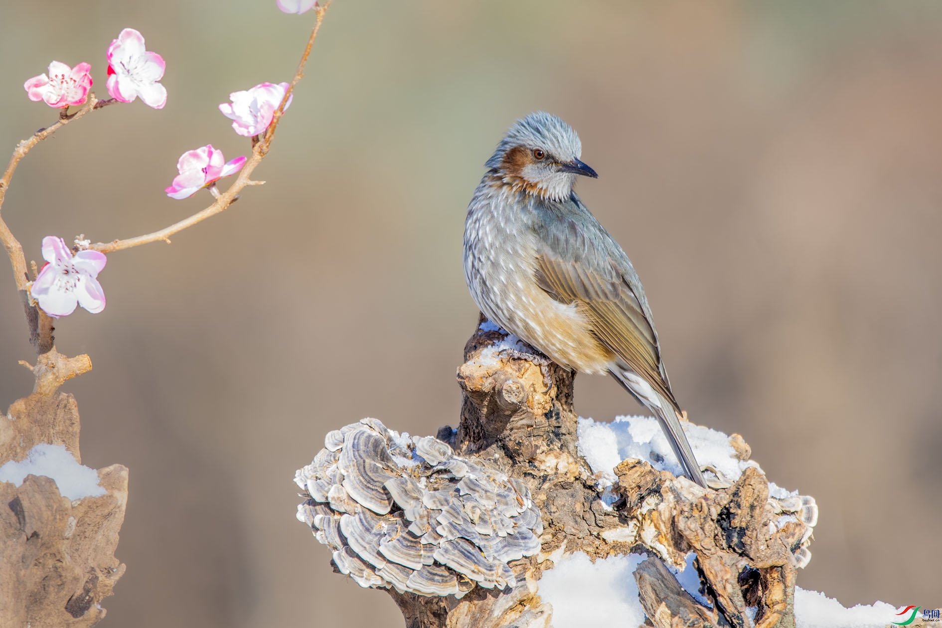 DSC_0290_��ͼ�� ����.jpg