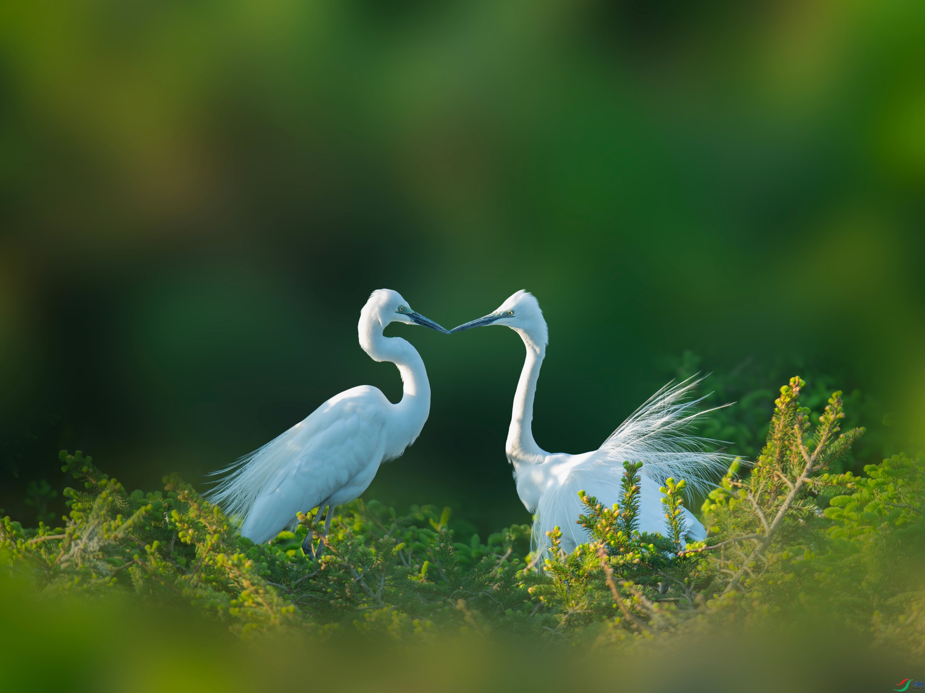 ���� (18).jpg