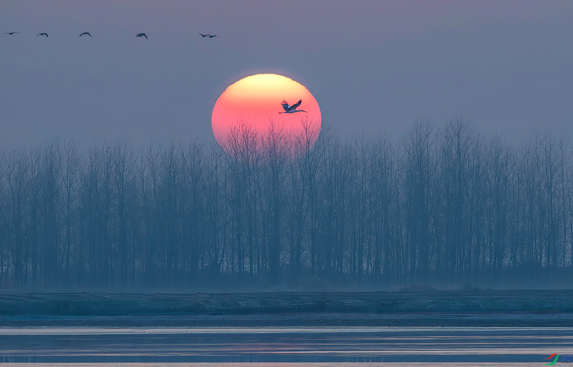 _60A6311-����ǿ-NR ����-Sh----33  .jpg