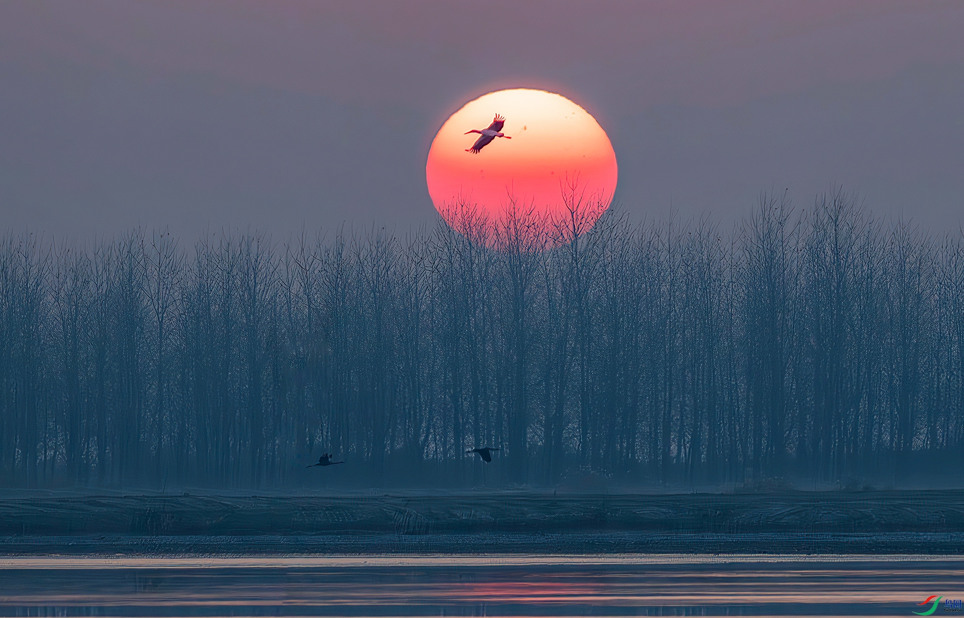 _60A6743-����ǿ-NR ����-Sh---33  .jpg