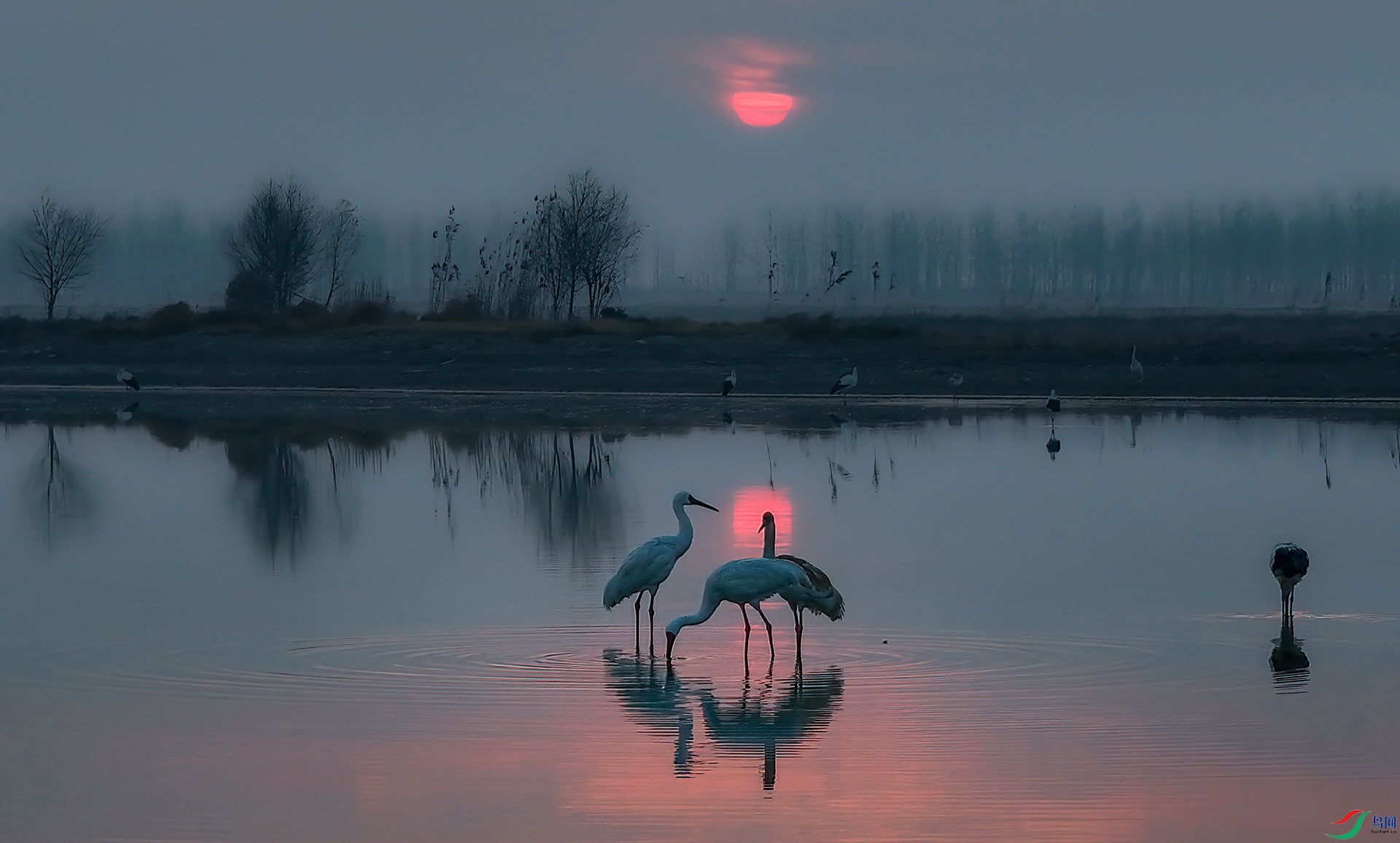 DJI_20250120072303_0015_D ����-Sh----33  .jpg