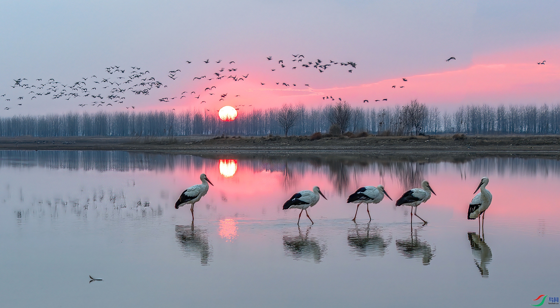 DJI_20250210070712_0110_D-����ǿ-NR ����-Sh----33  .jpg