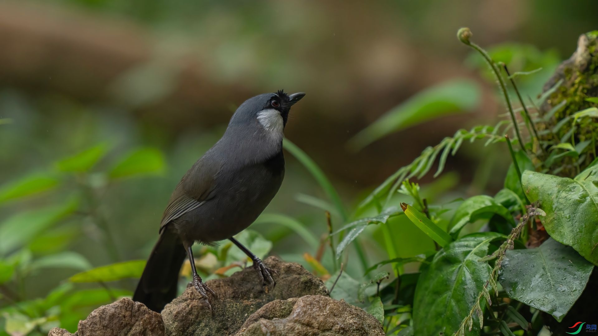 ����1DSC08879 .jpg