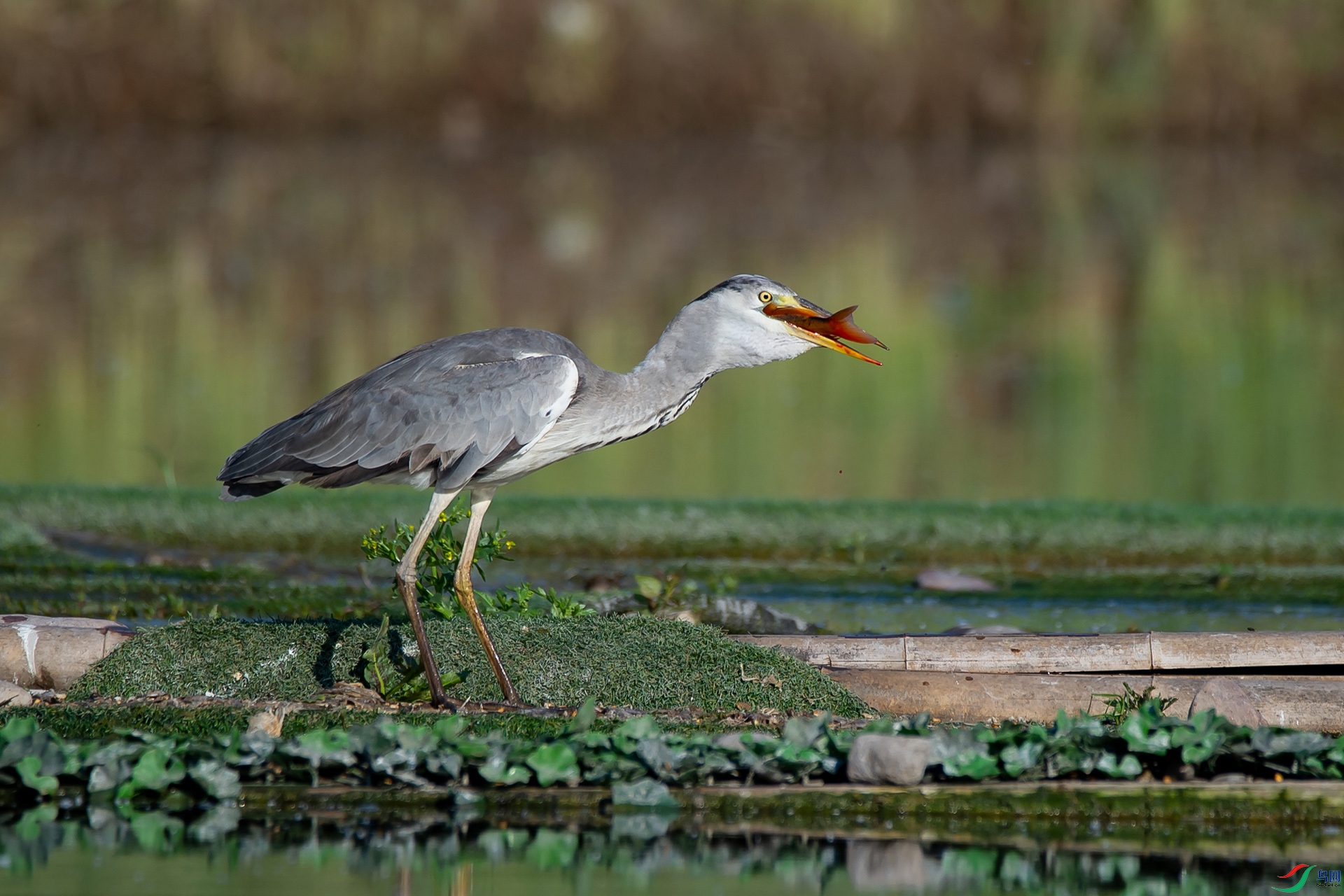 _DSC1488-20220519 �ü�-.jpg