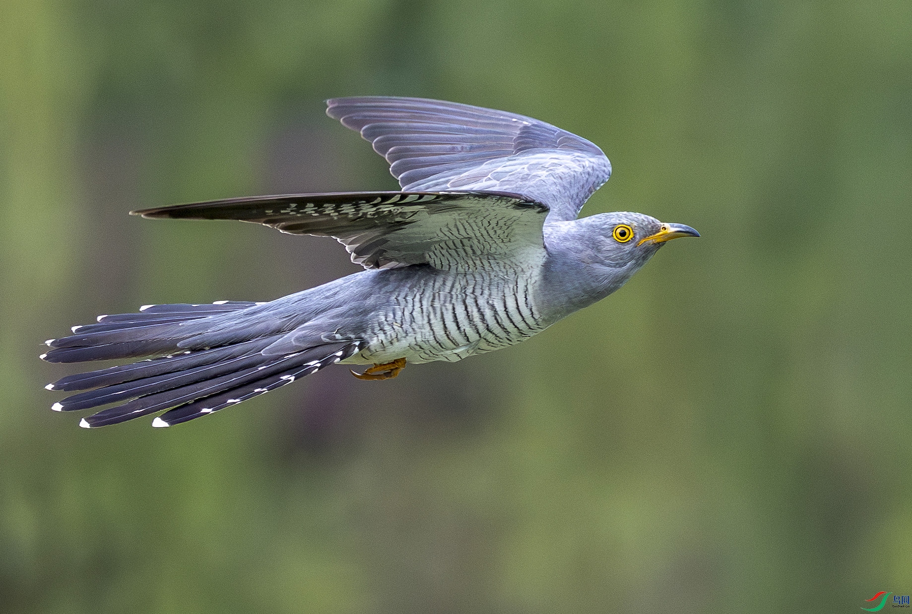 5N2A1954-1 ���� 2.jpg