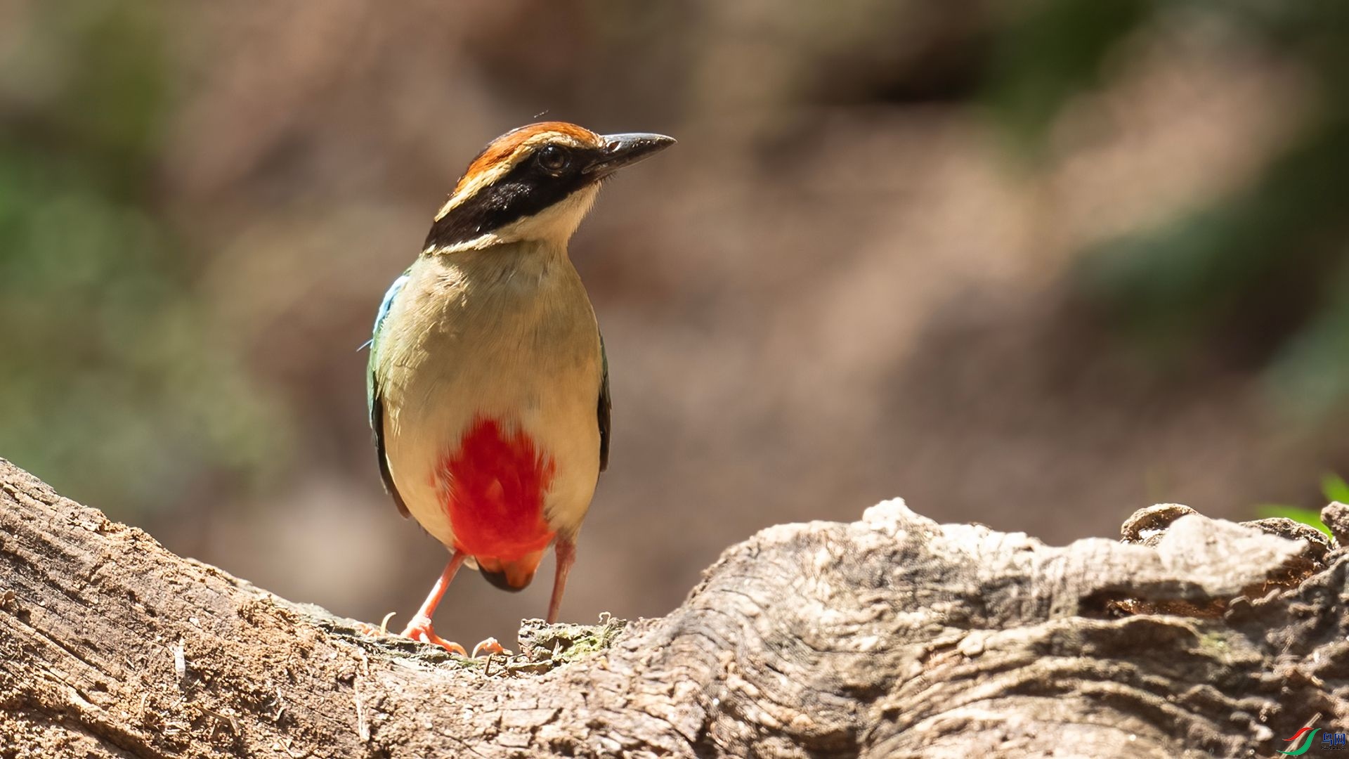 _DSC6963 ����.jpg