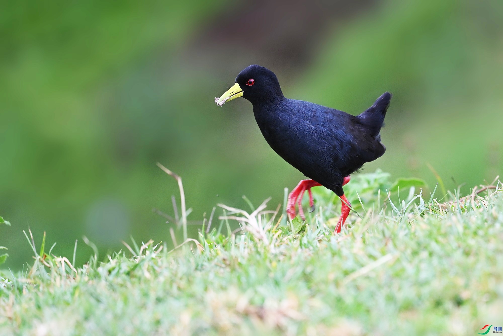 1.3��Ϲ������ʦ��Ʒ   �ڿ����(ף���ٻ���Ӱʦ����).jpg