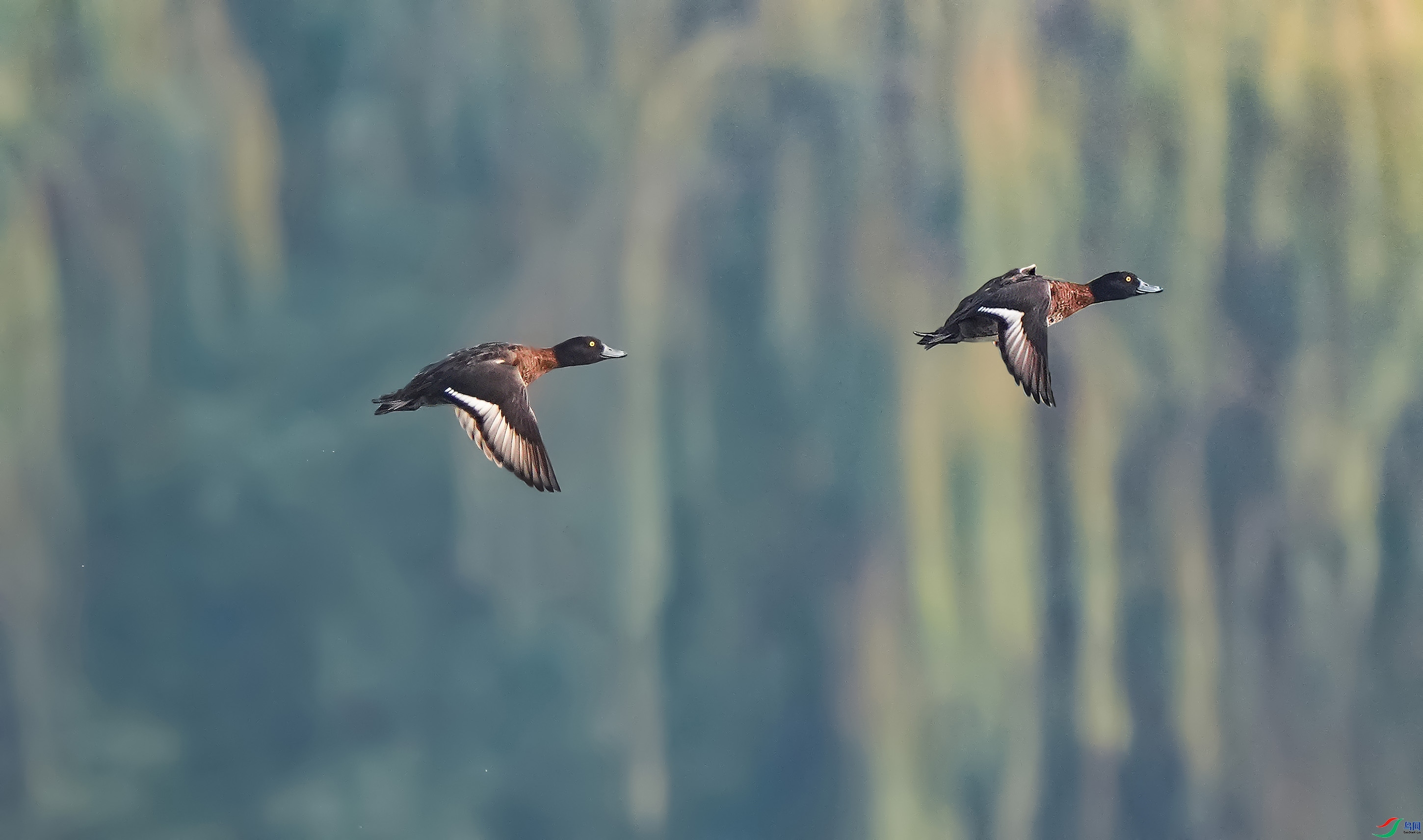 1.2�ϻ�����ʦ��Ʒ ���(ף���ٻ��Ա����)  .jpg