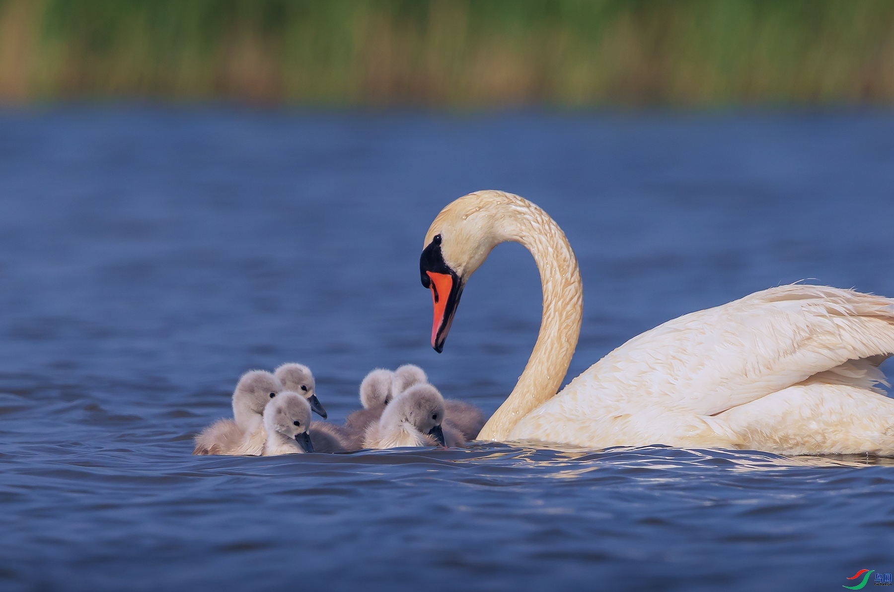 1.5һ�����567��ʦ��Ʒ  ������Ѷ ��ף���ٻ���Ӱʦ������.jpg