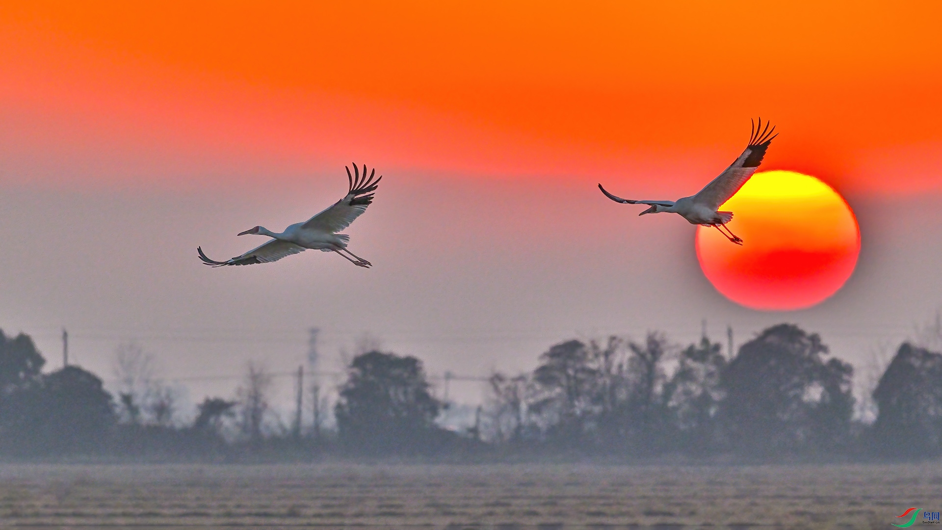 XHH_2078 ���� 3.jpg