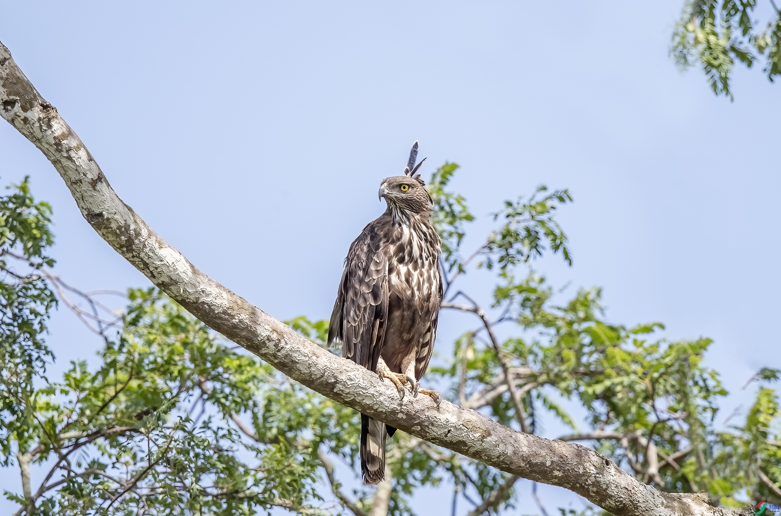 AC3I4190 ����.jpg