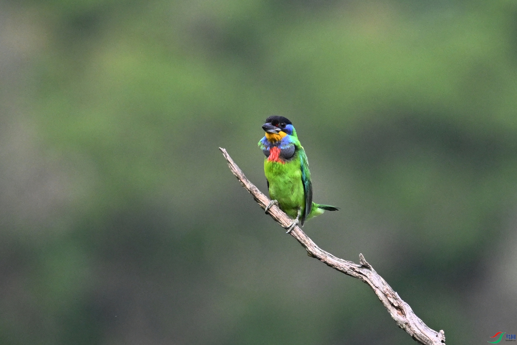 DSC_0312.JPG