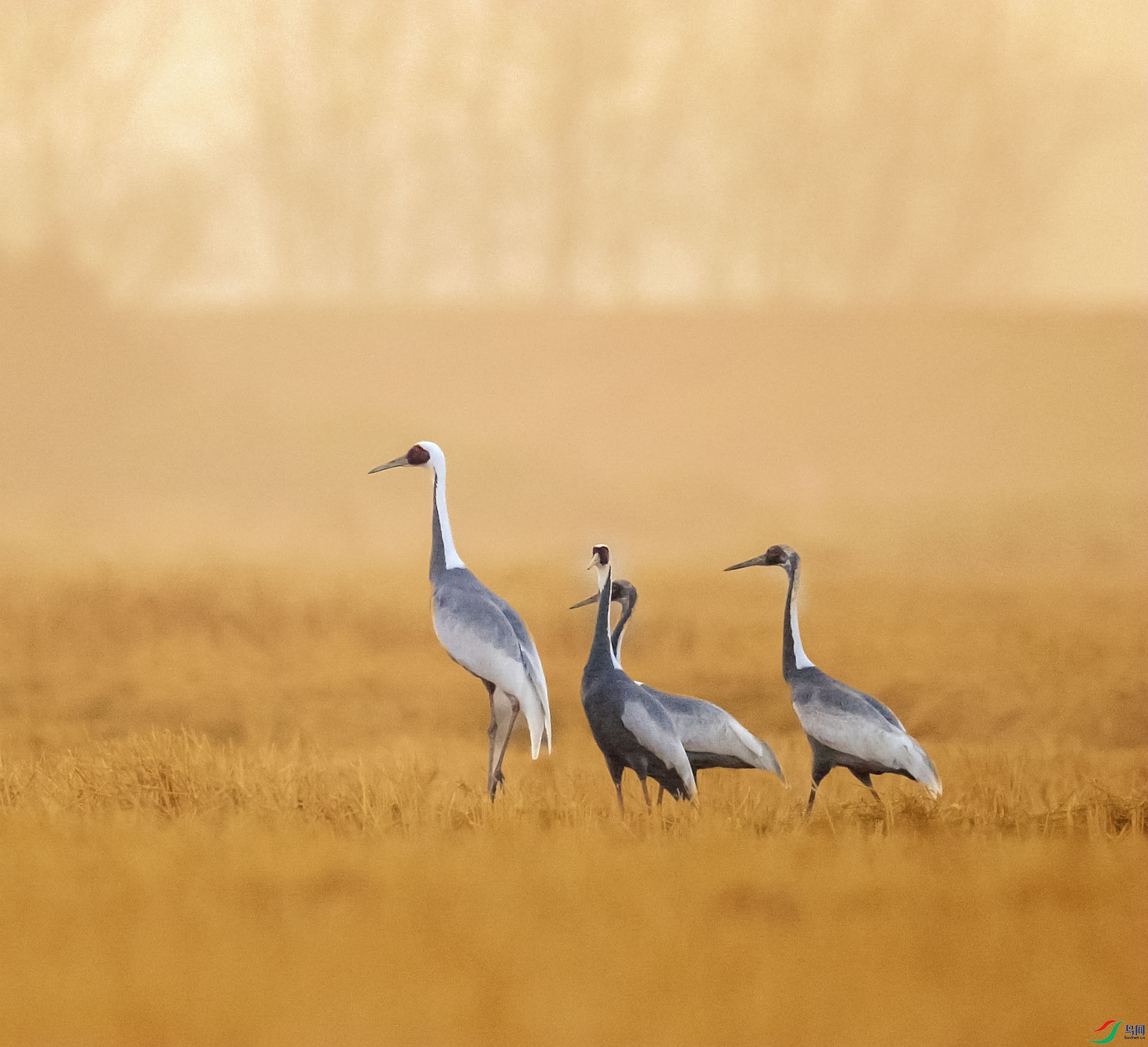 AI4T9871_���� ����.jpg