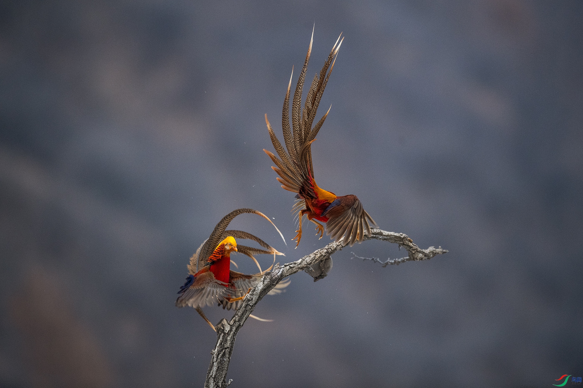 _DSC7225 ����.jpg