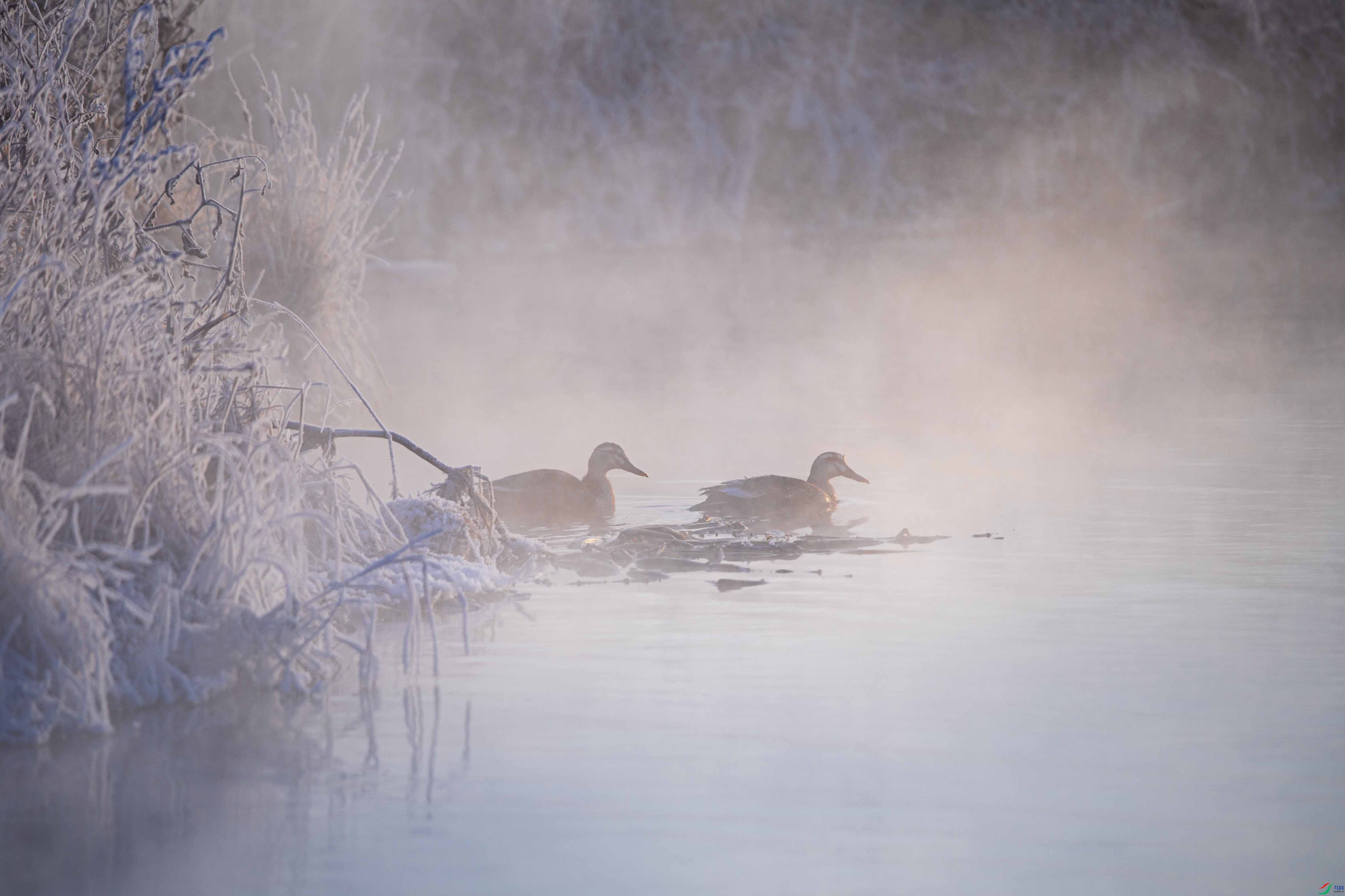 _LYF4943 ����.jpg