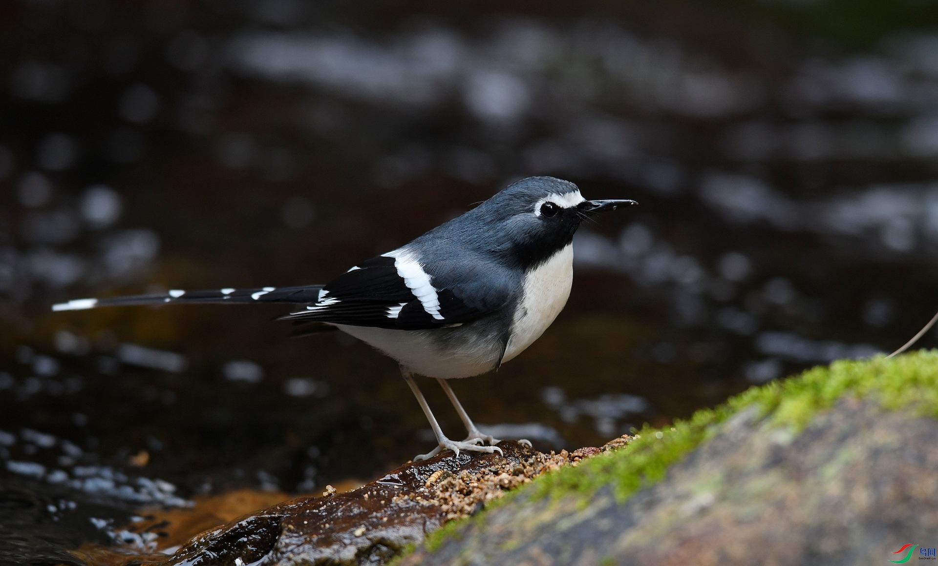 DSC_3033.jpg