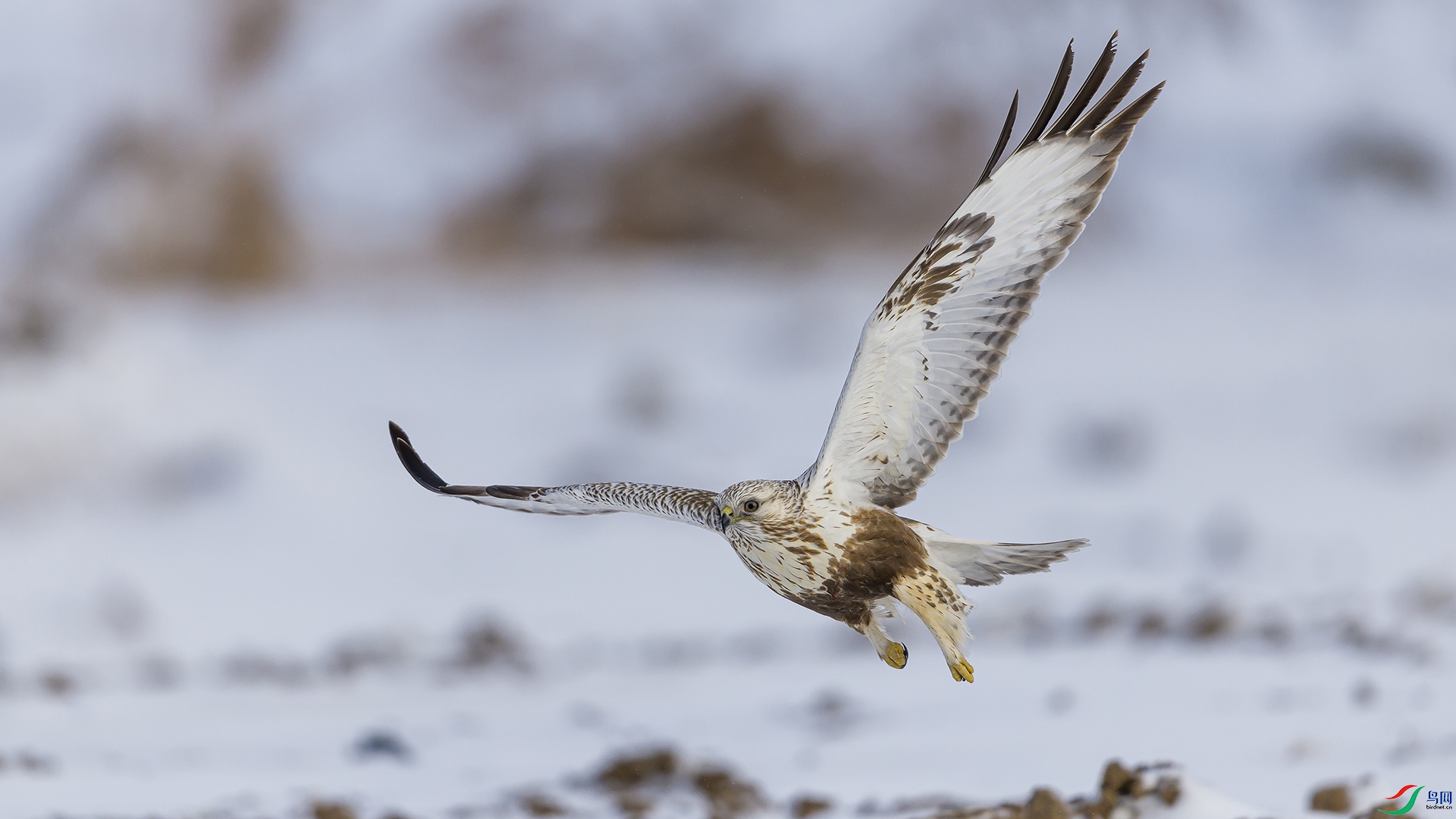 051A3116 ����n.jpg