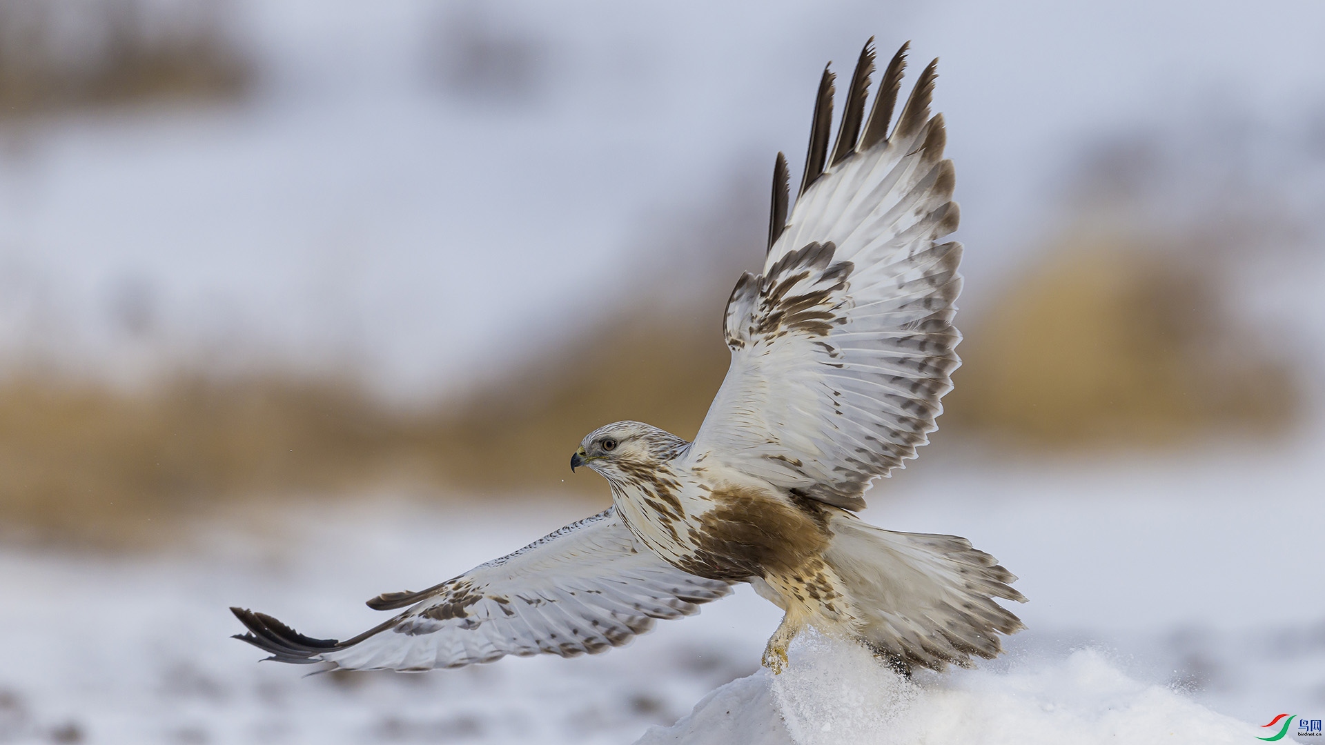 051A3128 ����n.jpg