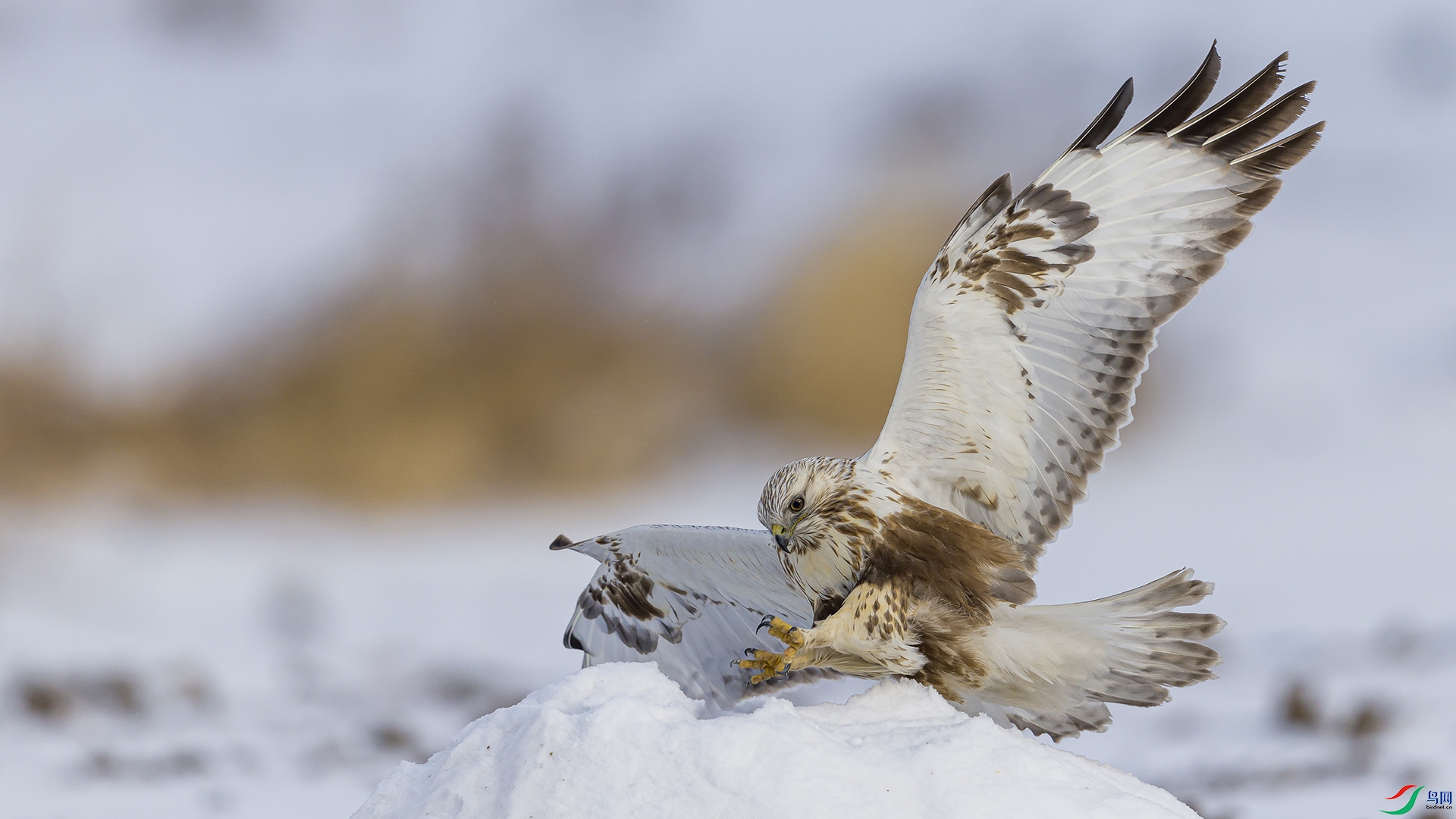 051A3126 ����n.jpg